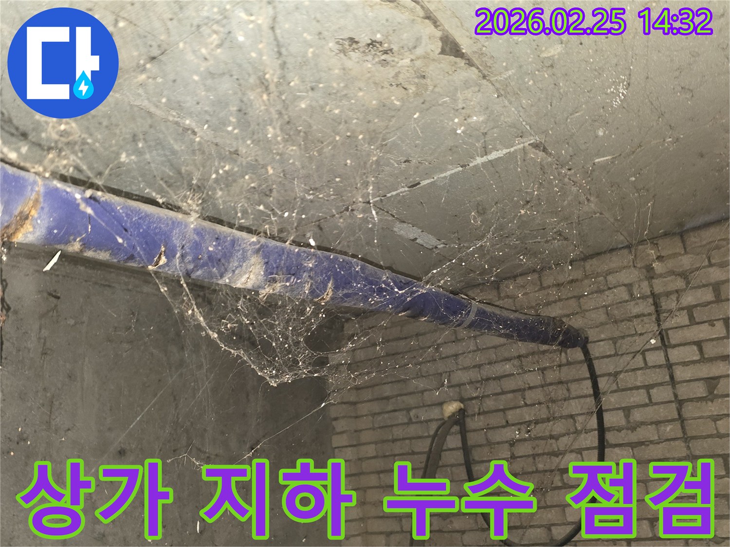 강동구 진황도로 인근 상가-지하 천장에 거미줄이 엉켜있는-누수 정밀 점검 전-현장 준비 모습을 담은 사진입니다.