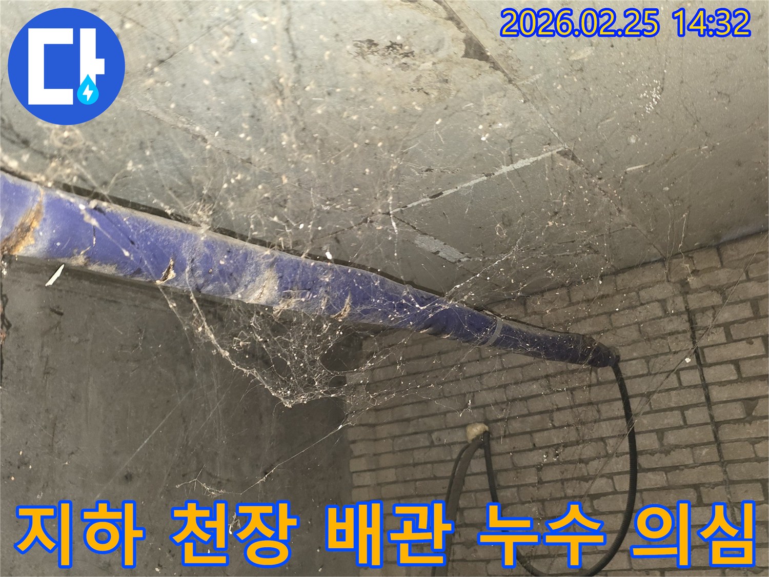 강동구 진황도로 인근 주택-지하 천장 배관 주변에-거미줄이 엉켜있는-누수 의심 현장 모습입니다.