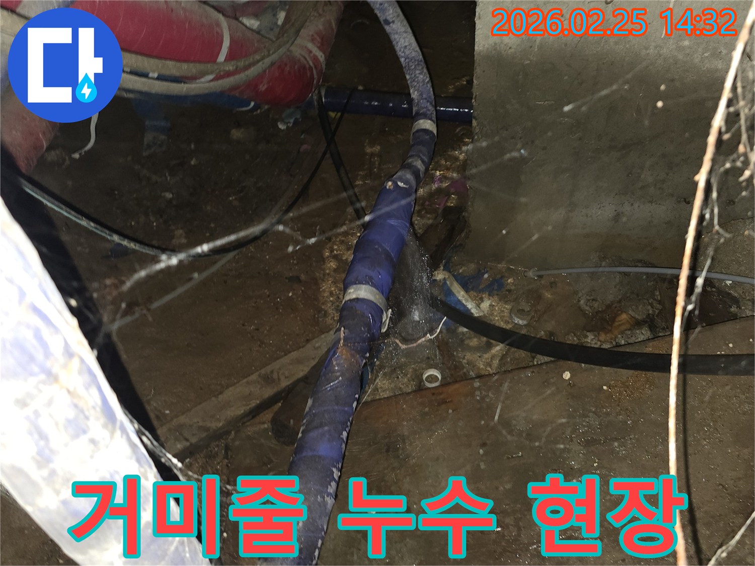 거미줄이 가득한-오랜 방치된 공간에서-배관 누수를 정확히 탐지하고-해결하는 현장입니다