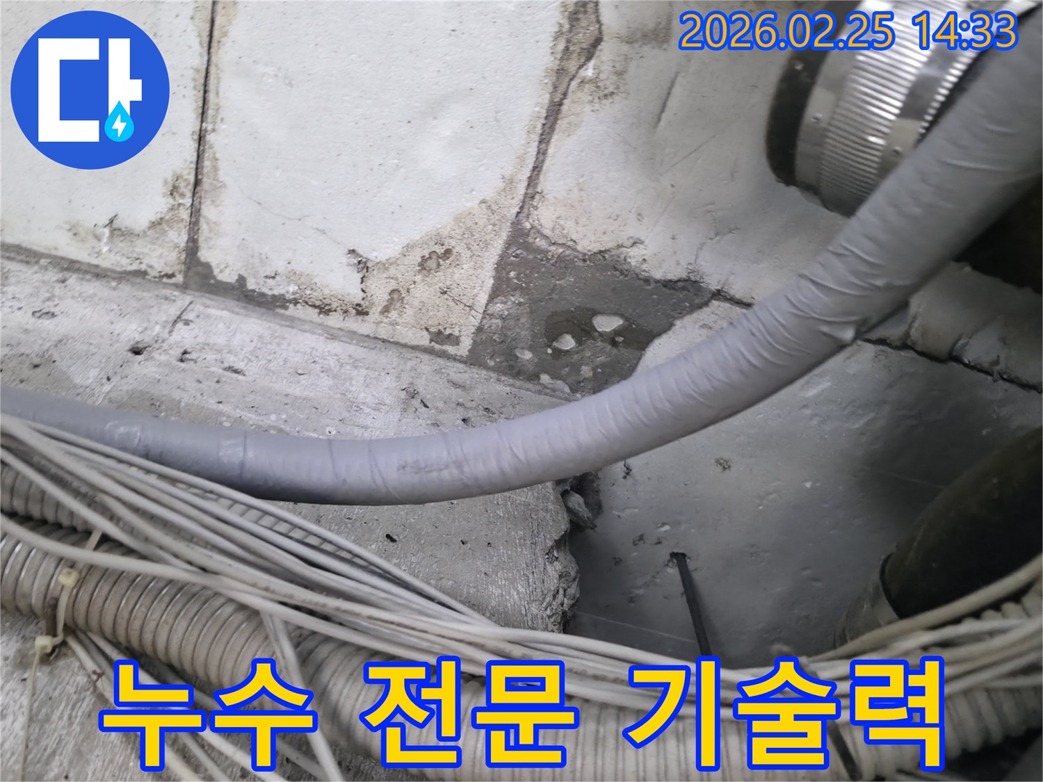 누수 전문 엔지니어가-콘크리트 바닥의-누수 지점을-정확히 분석하며-전문적인 기술력을-보여주는 모습