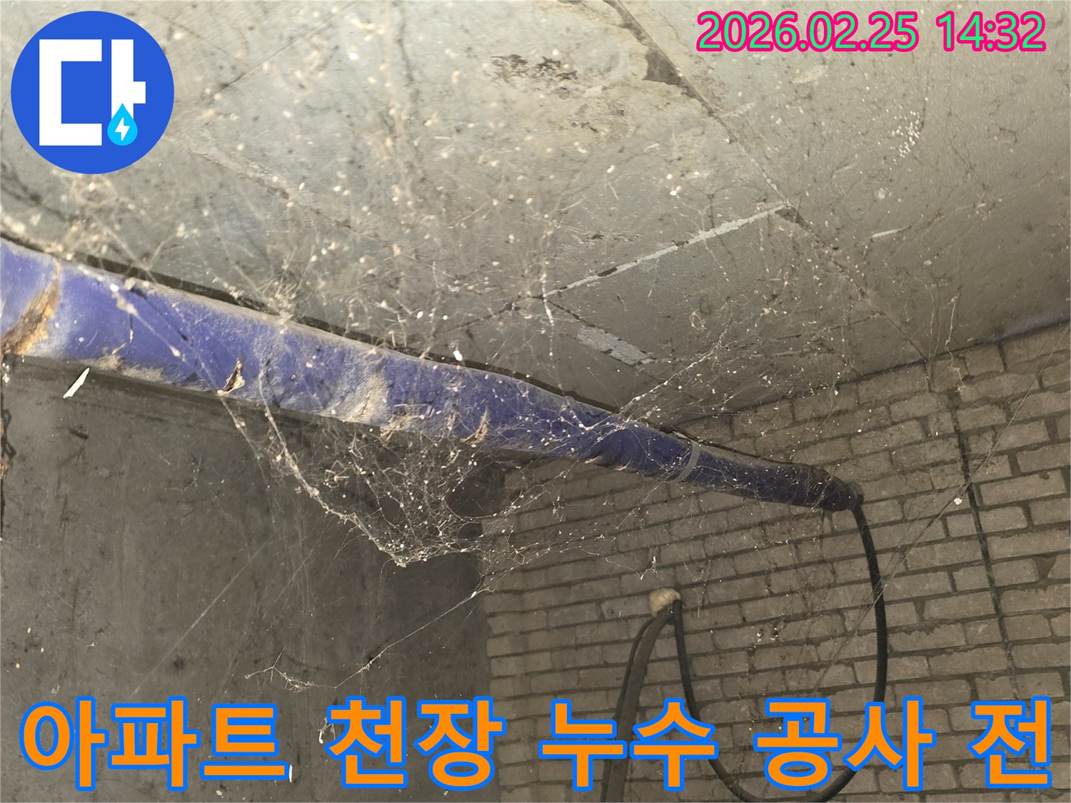 서울 강동구 진황도로 인근 아파트-지하 천장에 거미줄이 가득한-누수 공사 전-현장 상황을 담은 사진입니다.