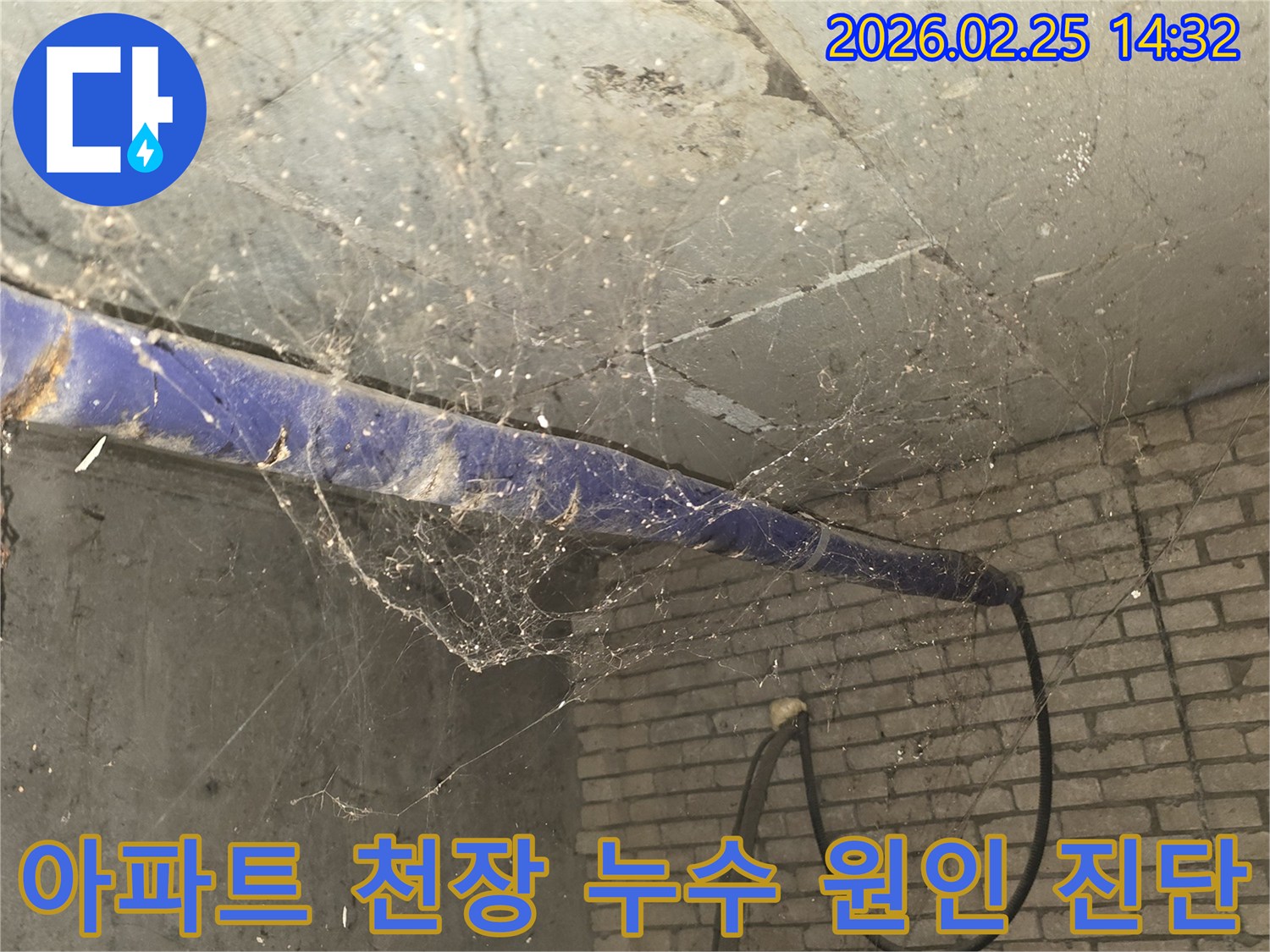 서울 강동구 진황도로 인근 아파트-지하 천장에 거미줄이 가득한-누수 원인 진단 전-현장 상황을 담은 사진입니다.