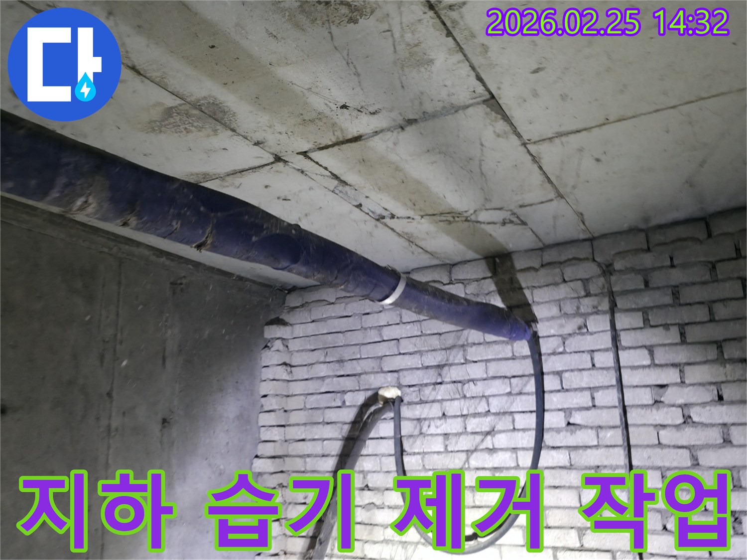 진황도로 211 인근의-지하 공간 습기 원인을-전문가가 찾아내어-제거 작업을 준비하는 모습