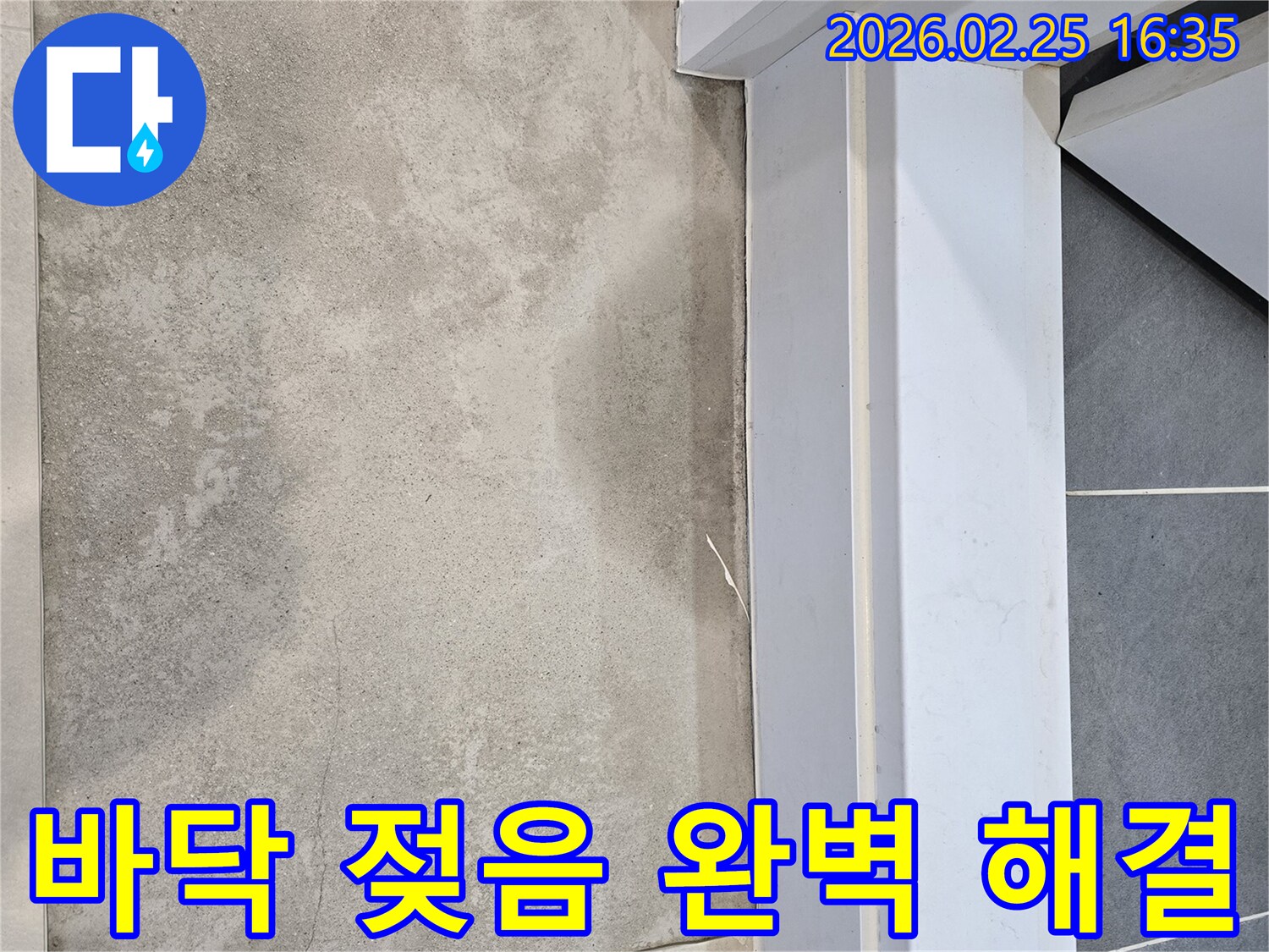 누수-전문가가-바닥에-나타난-젖은-흔적을-전문적인-지식과-장비로-완벽하게-해결하기-위해-조사하는-모습