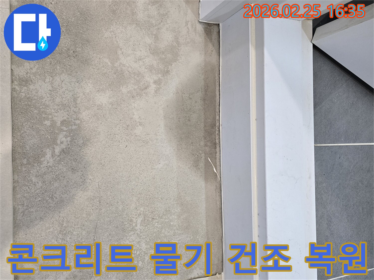 누수-전문가가-아파트-콘크리트-바닥의-물기를-확인하며-건조와-복원-과정을-설명하고-진행하는-모습
