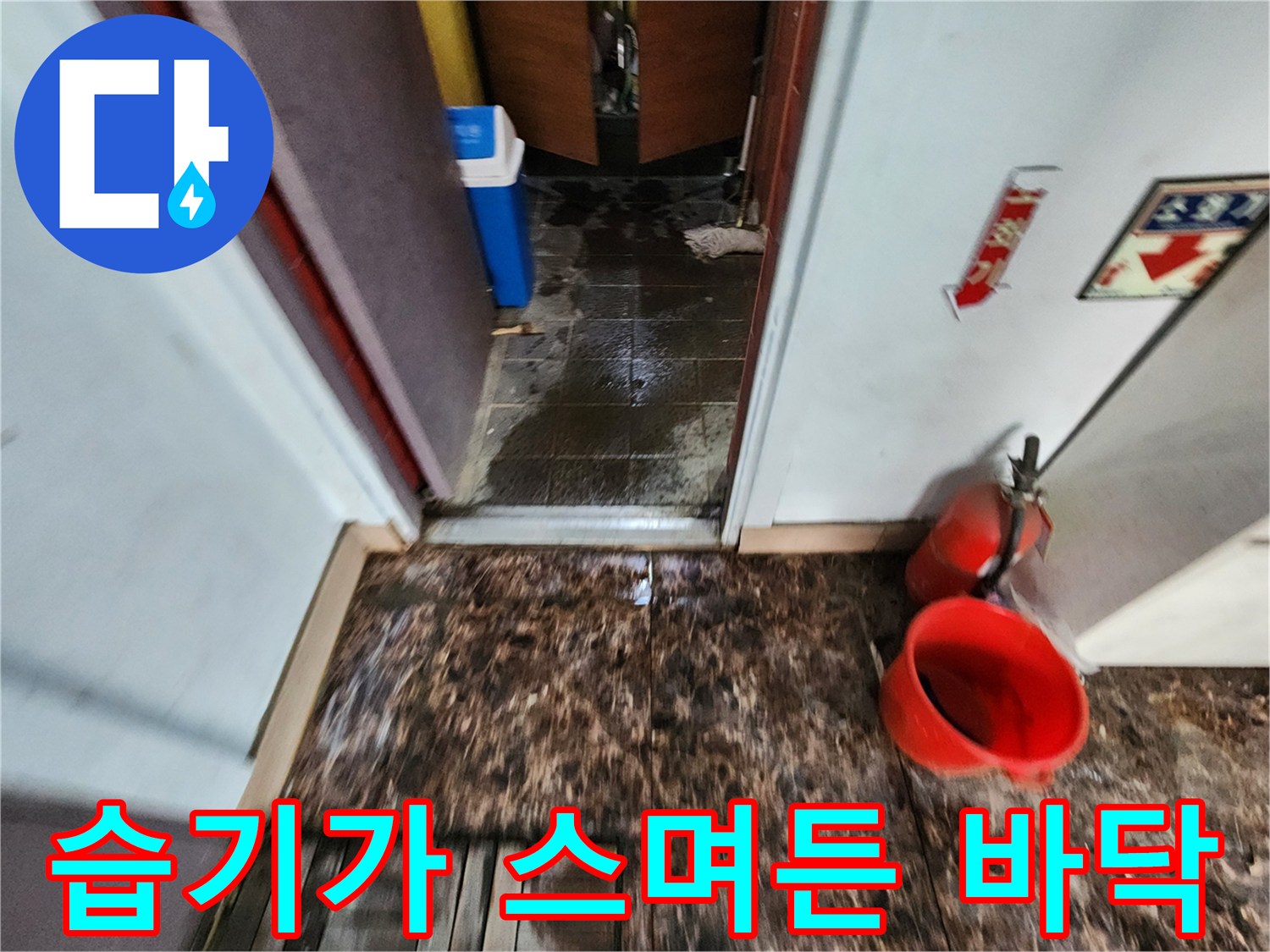 사무실 화장실 앞 젖어 있는 바닥 타일 모습