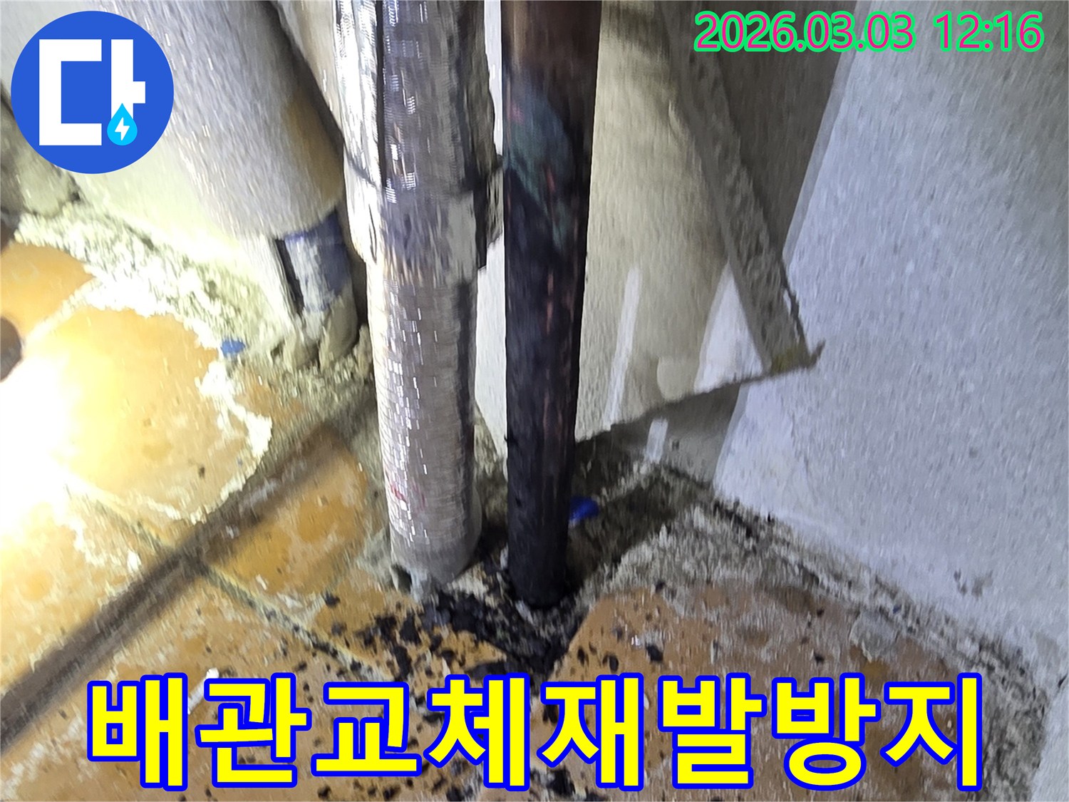 양주-광적면-주택에서-누수-재발을-막기-위해-손상된-배관을-교체한-후-주변-정리-및-방수-시공을-진행하는-모습