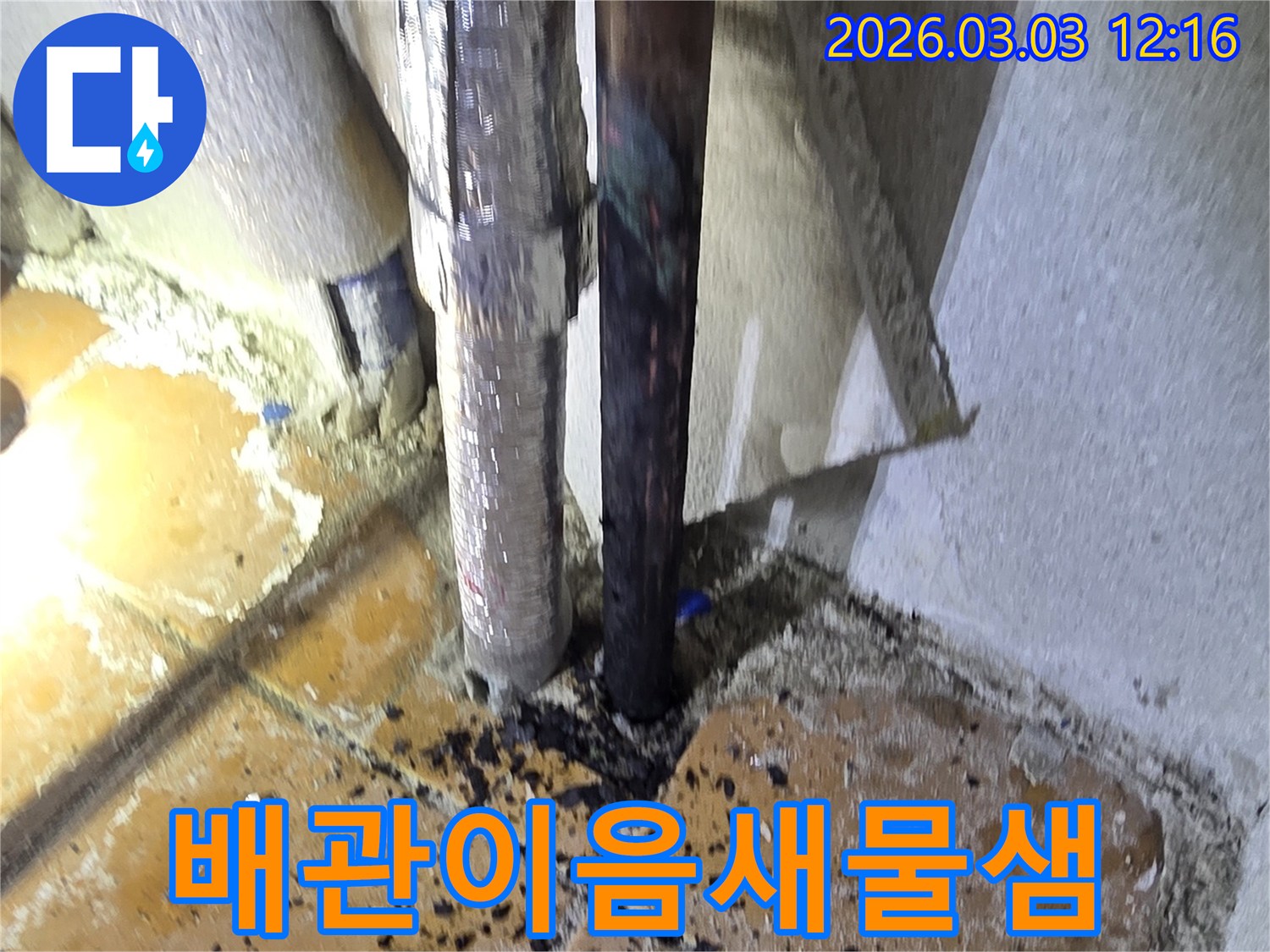 양주-광적면-주택의-배관-이음새-부위에서-물이-새어-나와-주변을-적시고-있는-누수-현장을-정확히-확인하는-모습