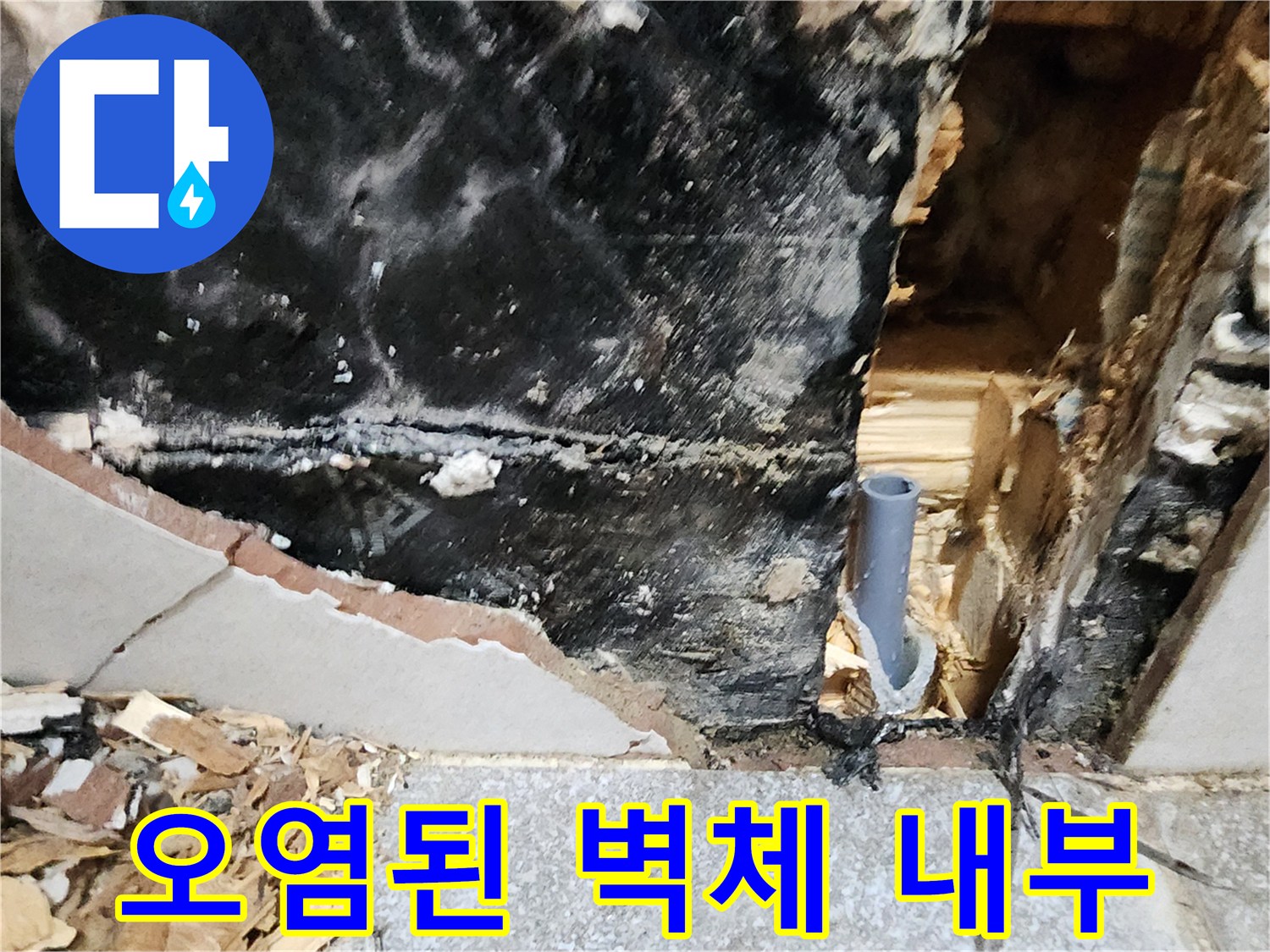 누수 지점 확인 - 곰팡이가 번식한 벽면 내부 상황
