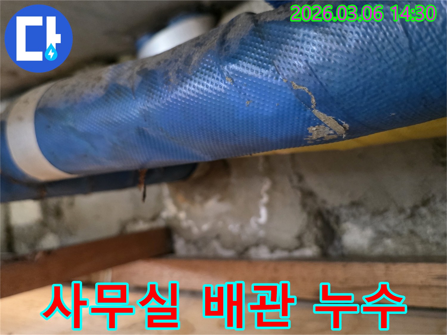 사무실 건물 하부-파란색 배관과-젖은 콘크리트 벽면-그리고 나무 지지대를-꼼꼼히 점검하는 모습