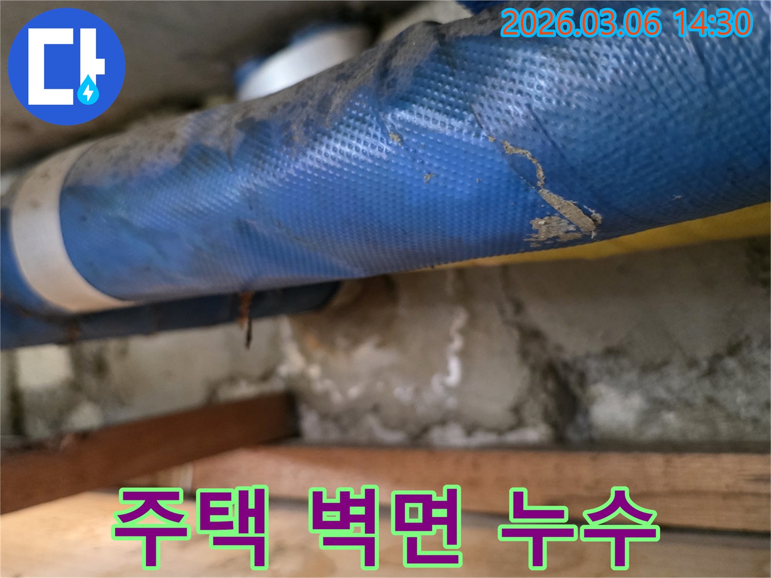 주택 벽면 하부-파란색 배관과-심하게 젖은 콘크리트-그리고 나무 지지대를-꼼꼼히 점검하는 장면