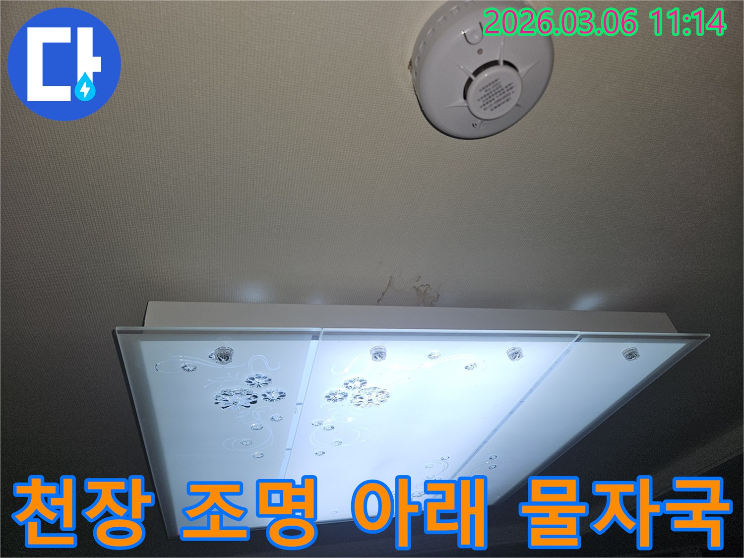 천장 조명 바로 아래 벽지에 생긴 물자국을-면밀히 관찰하며 누수 상황을 파악하는 장면