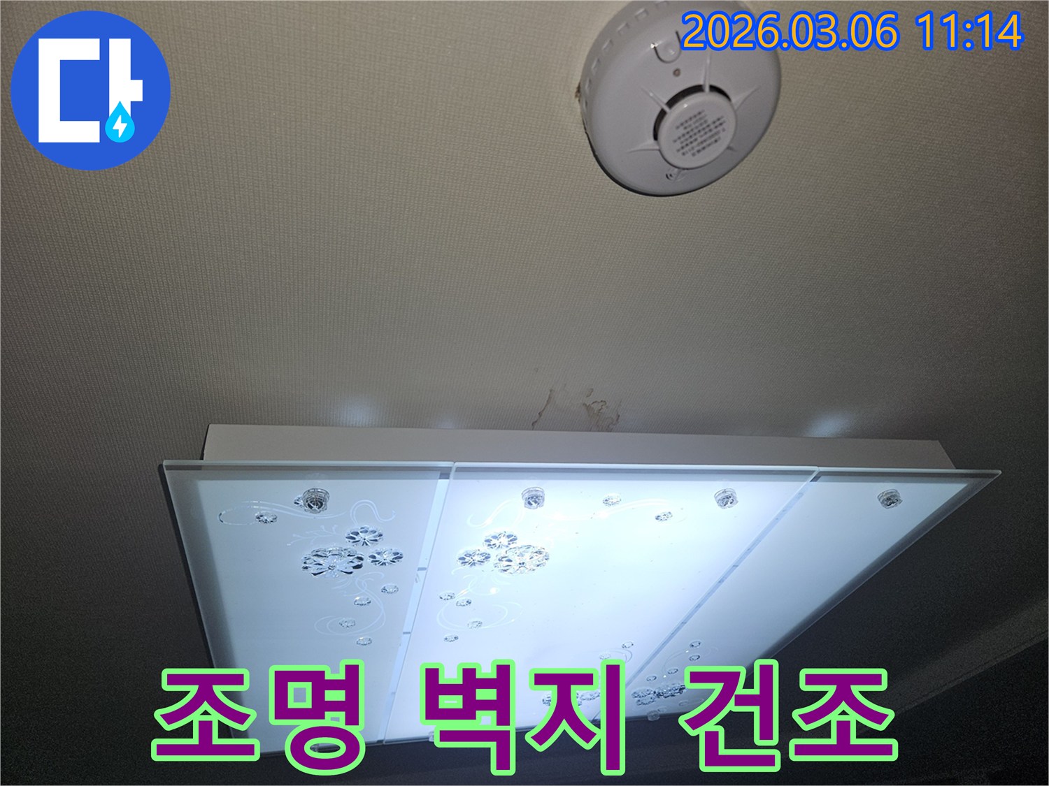 천장 조명 아래 누수로 젖은 벽지 흔적을-전문가가 확인하며 건조 및 보수 계획을 세우는 모습
