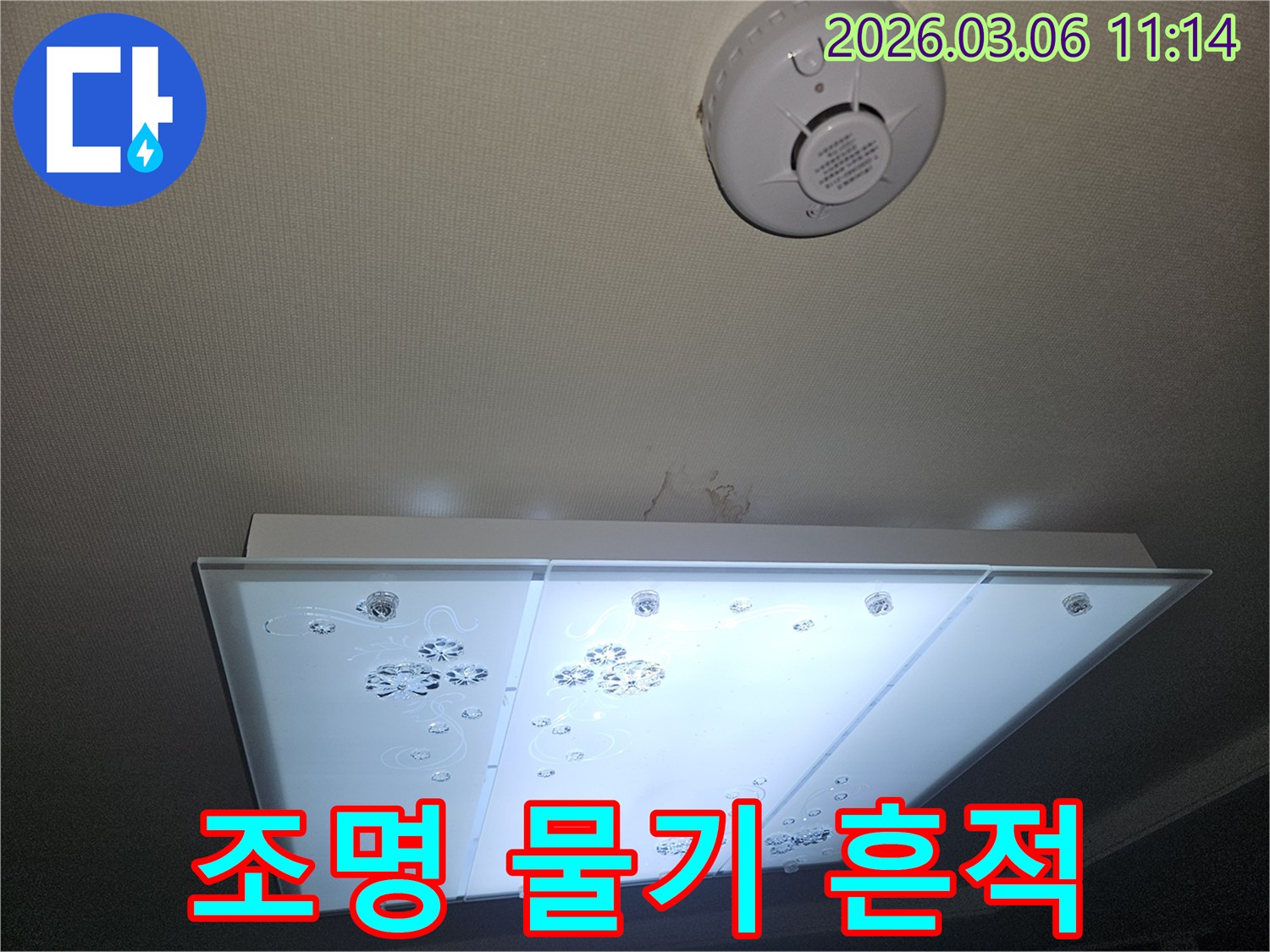 천장 조명 아래 벽지에 스며든 물기 흔적을-전문가가 세심하게 확인하며 누수 상황을 분석하는 장면