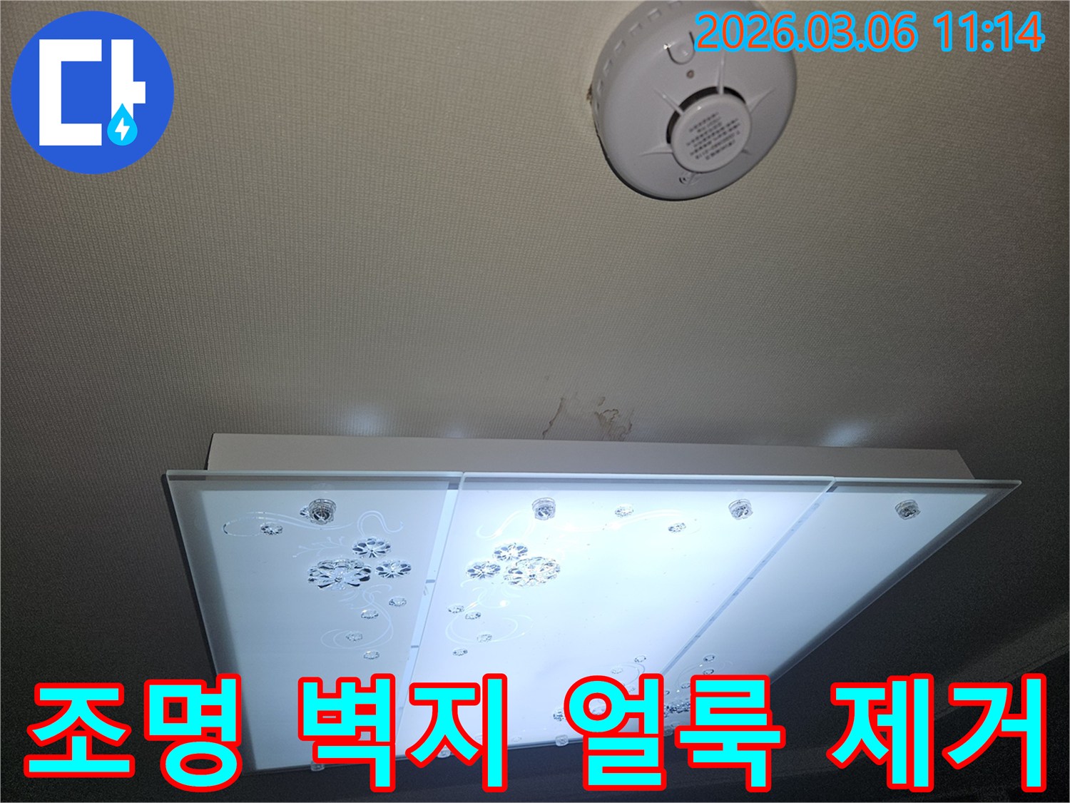 천장 조명 주변 벽지에 생긴 누수 얼룩 흔적을-전문가가 확인하며 복구 및 얼룩 제거 계획을 세우는 모습