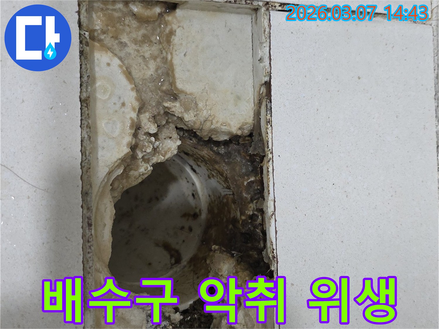 누수로-인해-배수구-주변에서-악취가-발생하고-위생이-악화된-현장입니다.