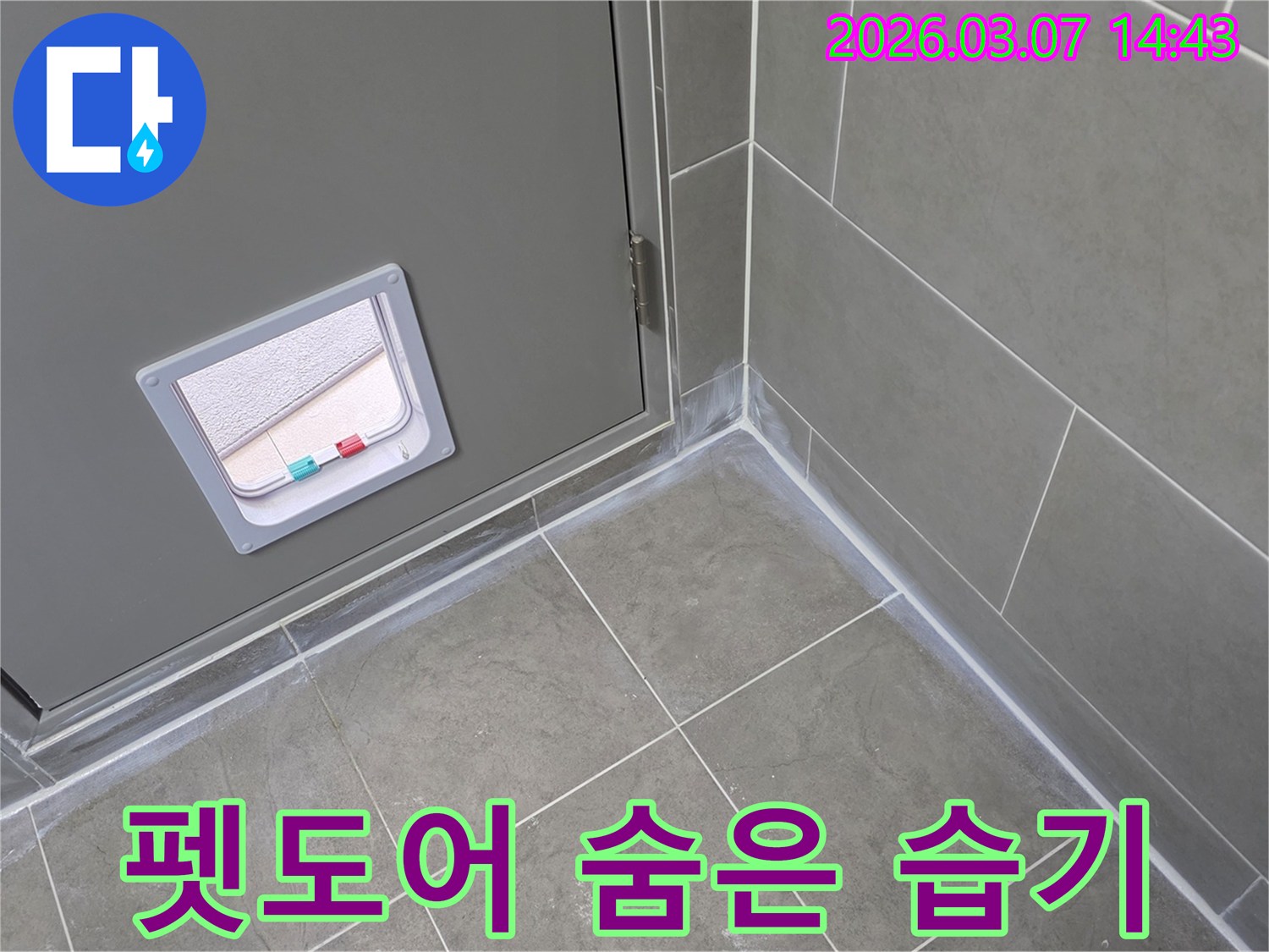 반려동물 문이 있는 회색 문과 타일 바닥-그리고 벽면 경계에 보이는-흰색 백화 현상은-지속적인 물 유입으로 인한 누수 문제를 시사합니다.