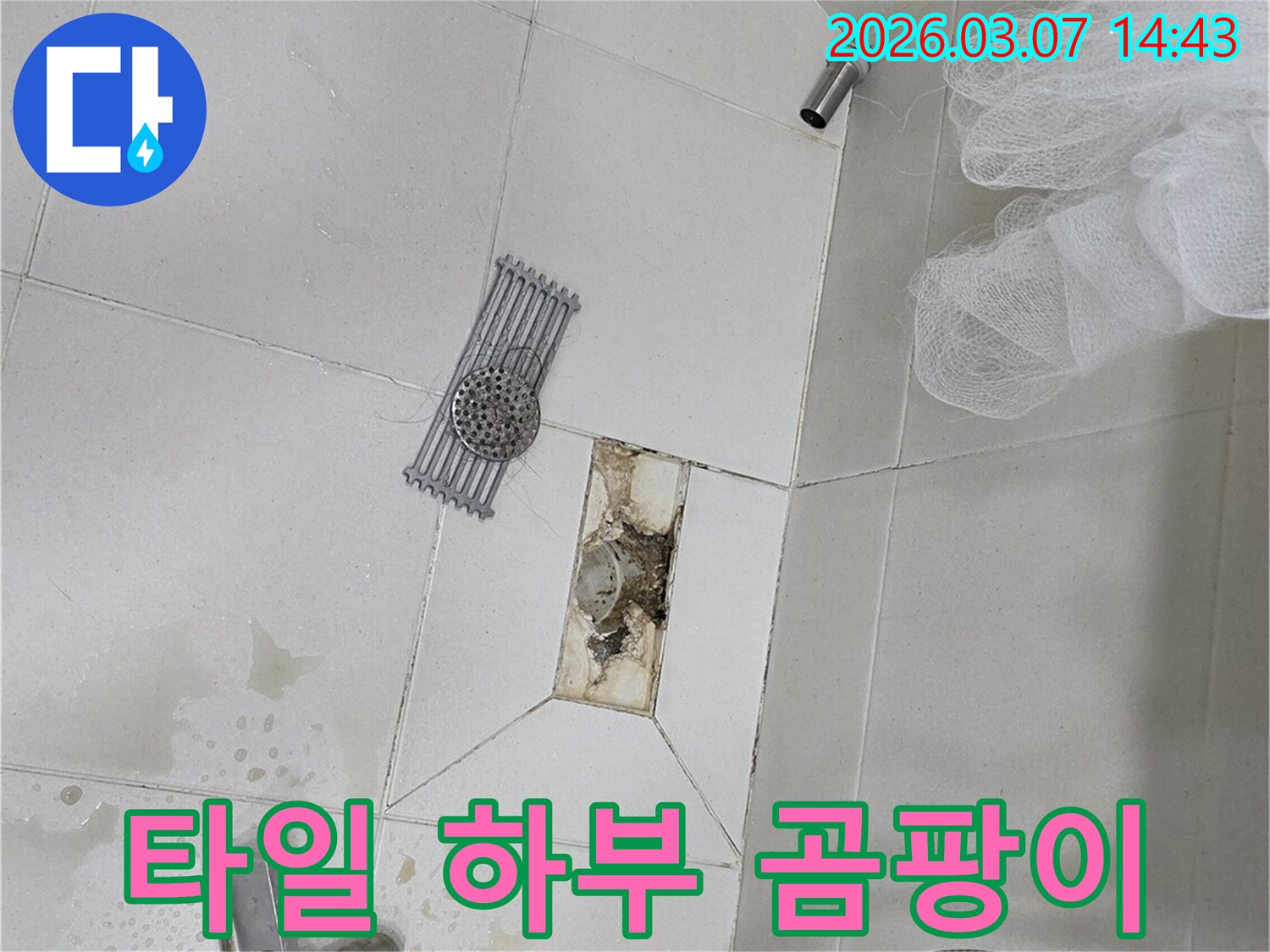 화장실 타일 하부에-물이 스며들어-곰팡이가 발생한-현장을 보여줍니다