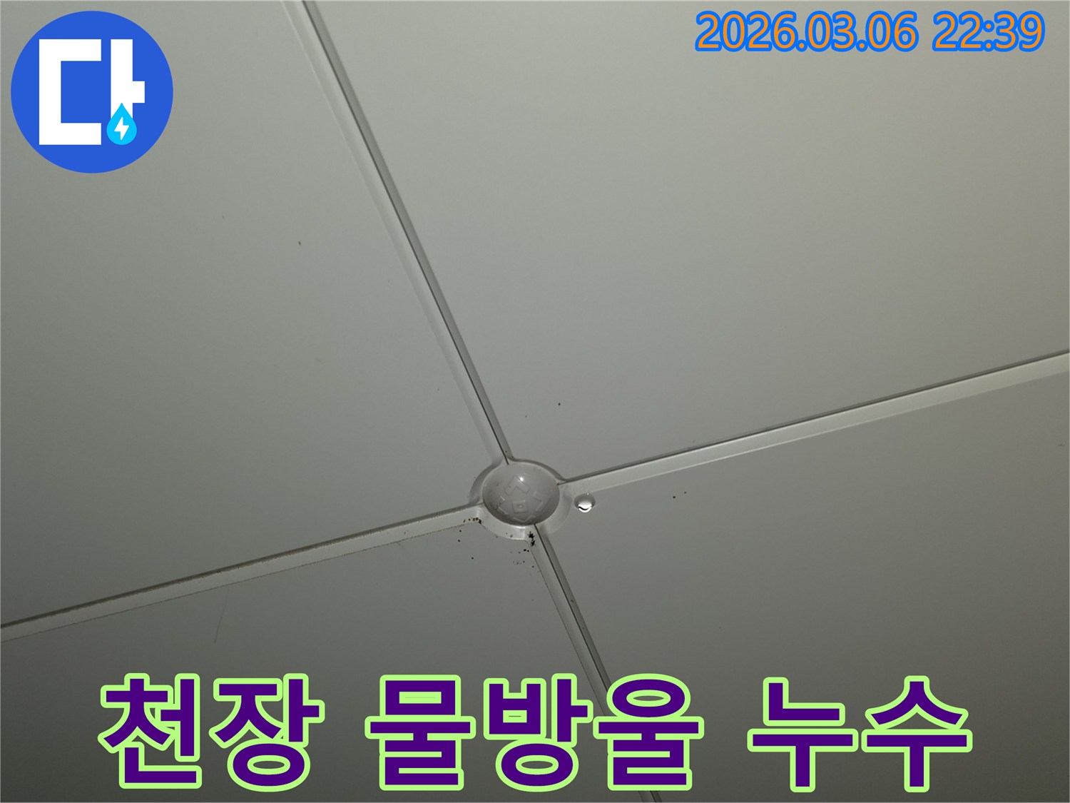 천장 마감재 교차점에서-물방울이 형성되어-떨어지기 직전의-누수 발생 현장