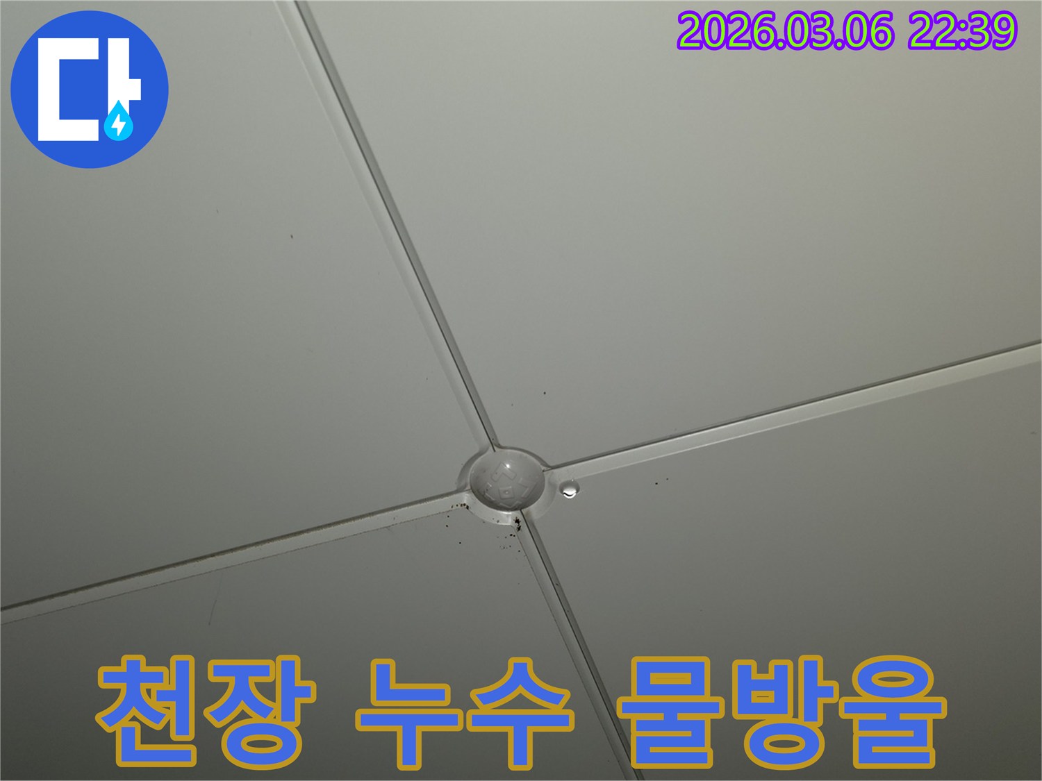 천장 마감재 교차점에서-작은 물방울이 맺혀있는-누수 초기 증상 현장