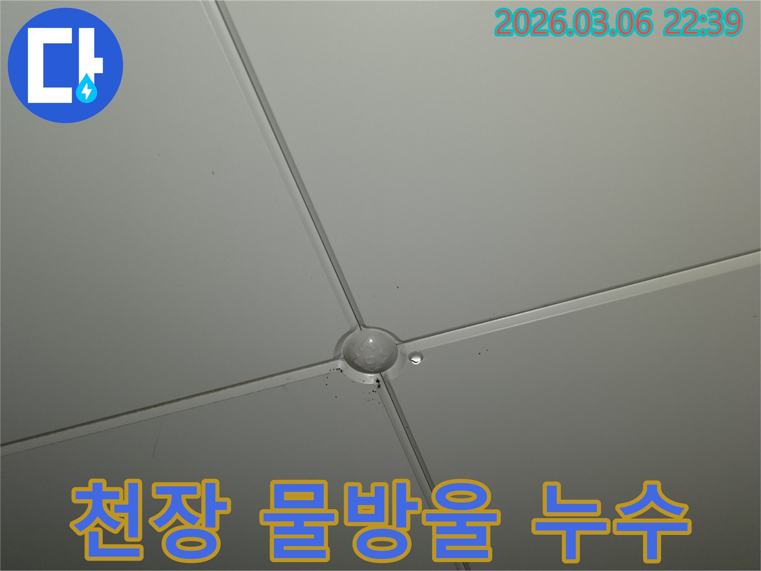 천장 마감재 교차점에서-작은 물방울이 맺혀있는-누수 초기 증상 현장
