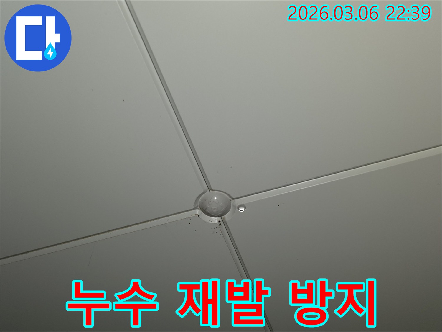 천장 패널 연결 부위에-작은 물방울이 맺혀있는-누수 현장으로-근본적인 해결이 요구됩니다.