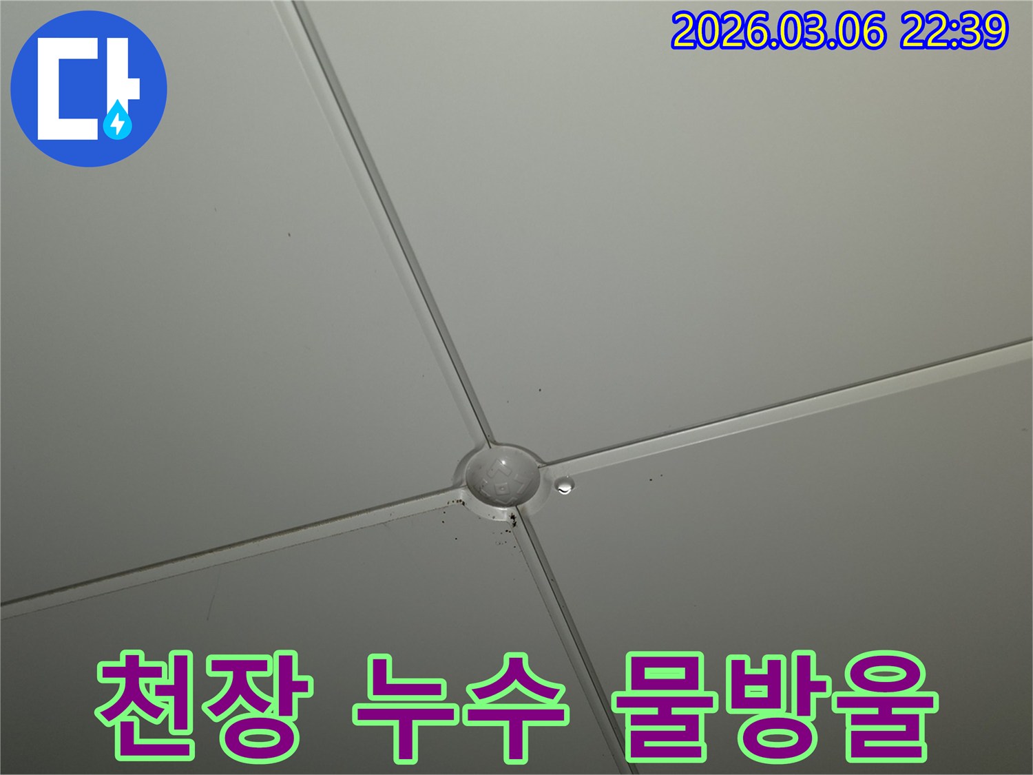 천장 패널 이음새에서-물방울이 맺혀-떨어지기 직전의-누수 현상 클로즈업