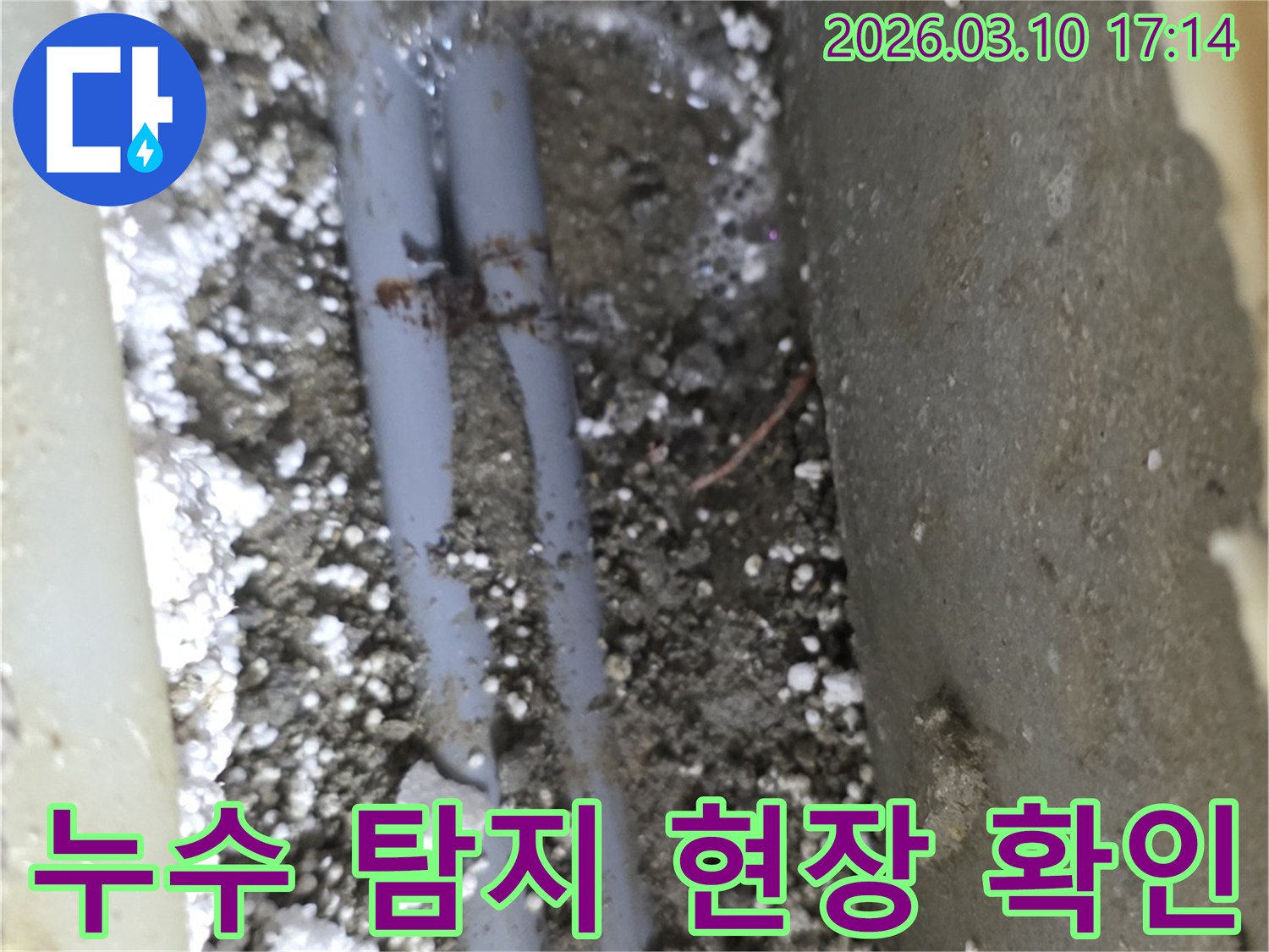 땅속에 묻힌 배관 주변의 젖은 흙과-누수 발생 지점을 명확히 보여주는-정밀 탐지 현장