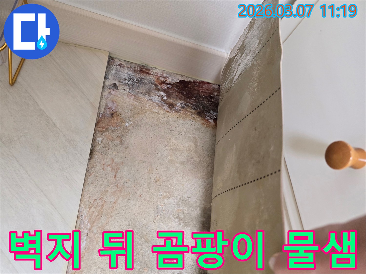 벽지를 제거한 후 드러난 벽면의 심각한 곰팡이와-물샘으로 인한 손상 흔적을 보여주는 이미지