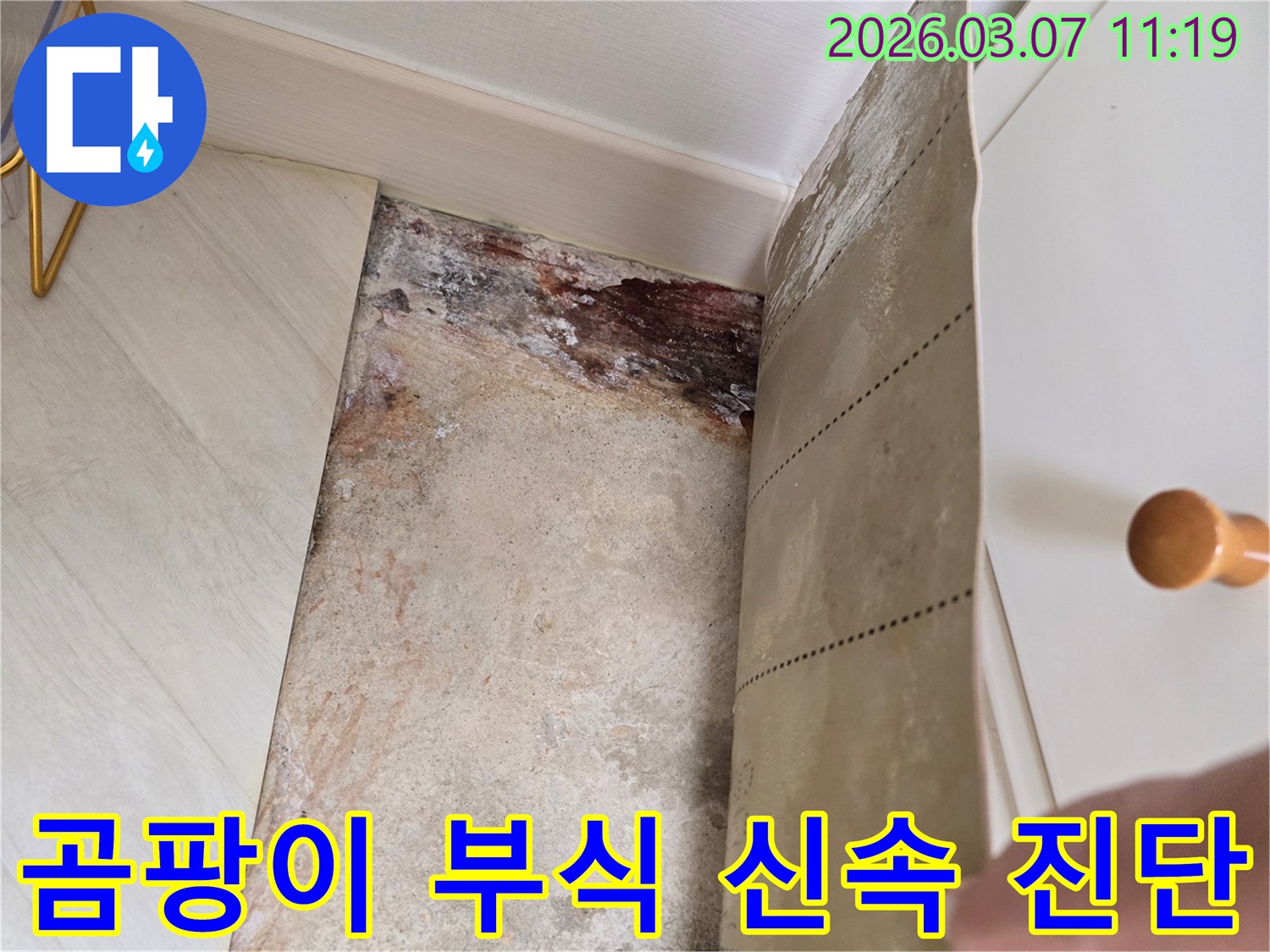 벽지를 제거한 후 드러난 벽면의 심각한 곰팡이와-부식 흔적의 신속 진단 사진