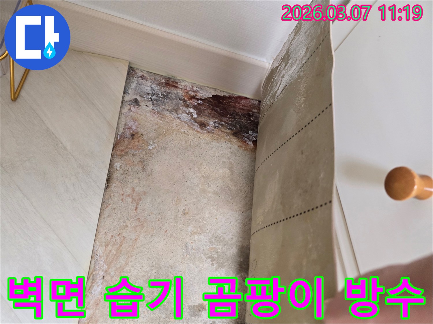 벽지를 제거한 후 발견된 벽면의 심각한 습기 흔적과-곰팡이로 오염된 벽면의 상세 이미지