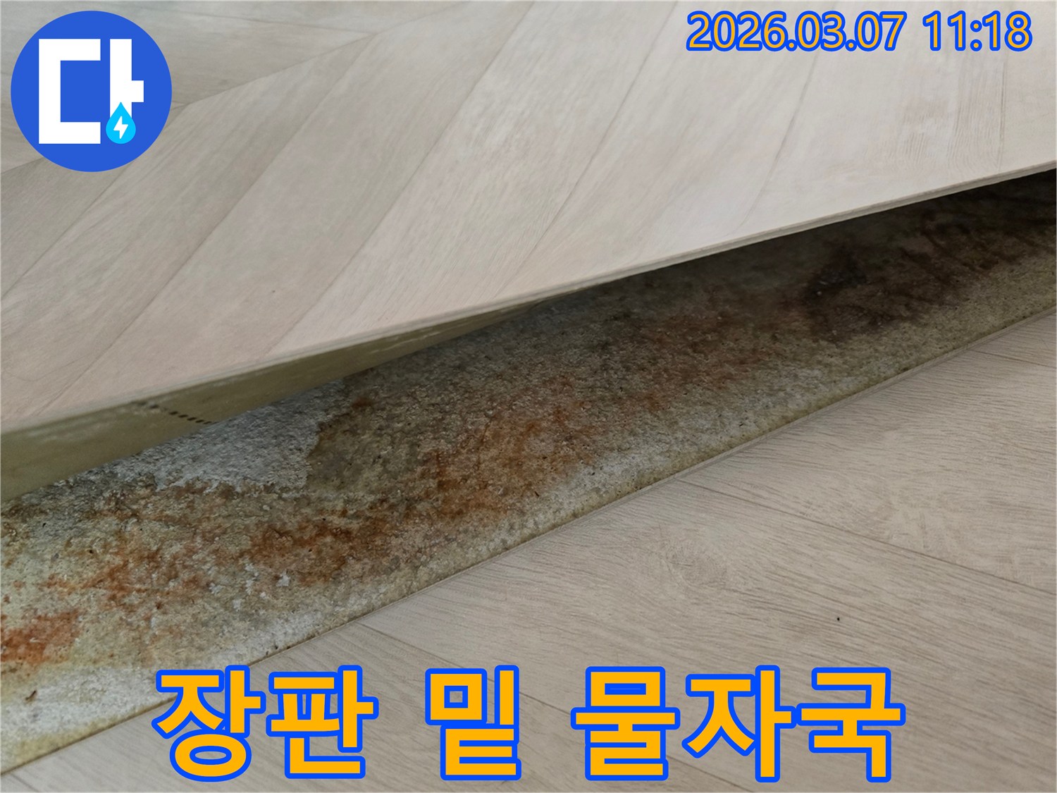 빌라 장판 아래에서-오랜 누수로 인해 생긴-선명한 물자국과 변색이 드러난 모습