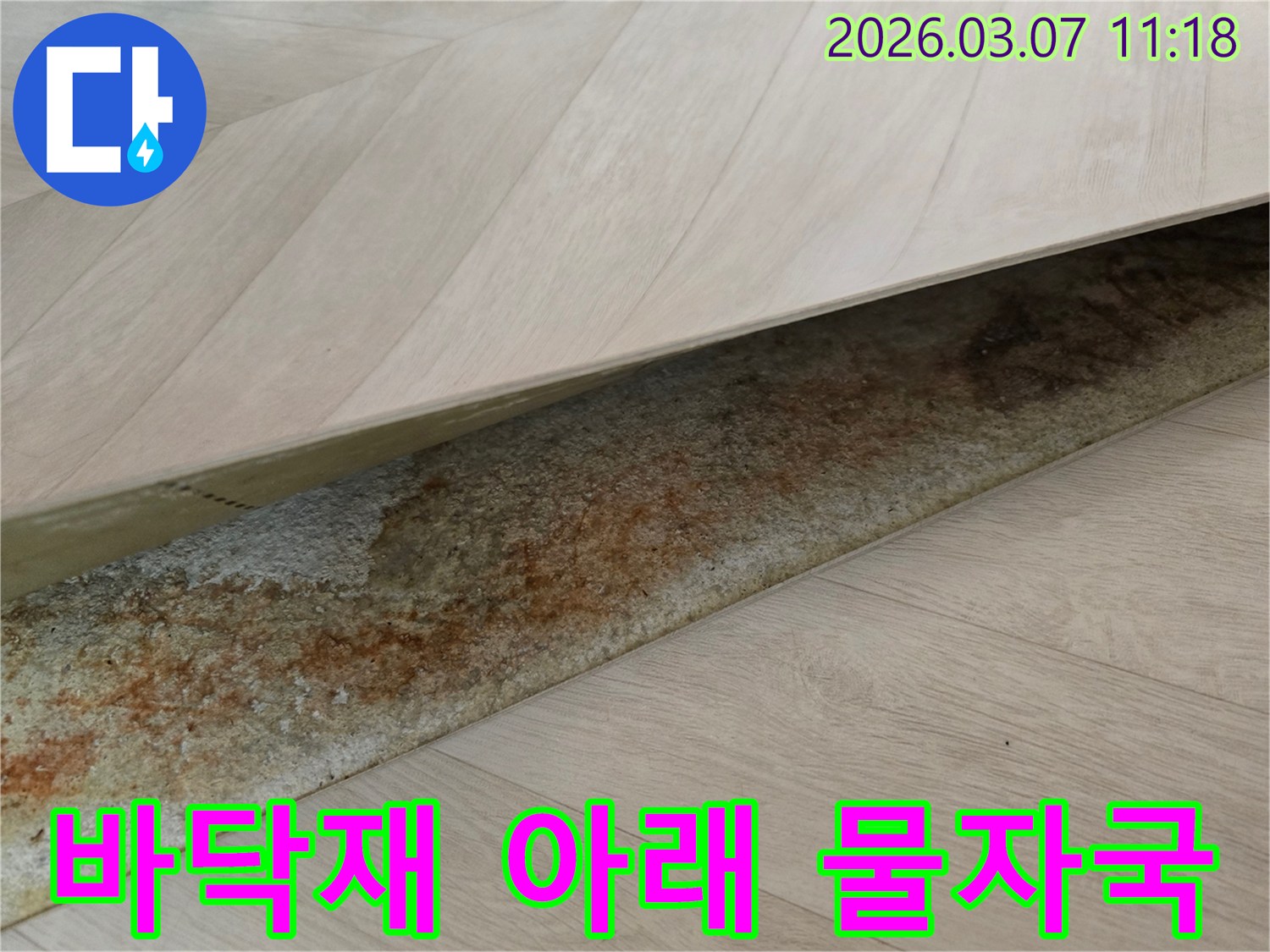 사무실 바닥재 아래에서-오랜 누수로 인해 발생한-선명한 물자국과 변색이 드러난 모습