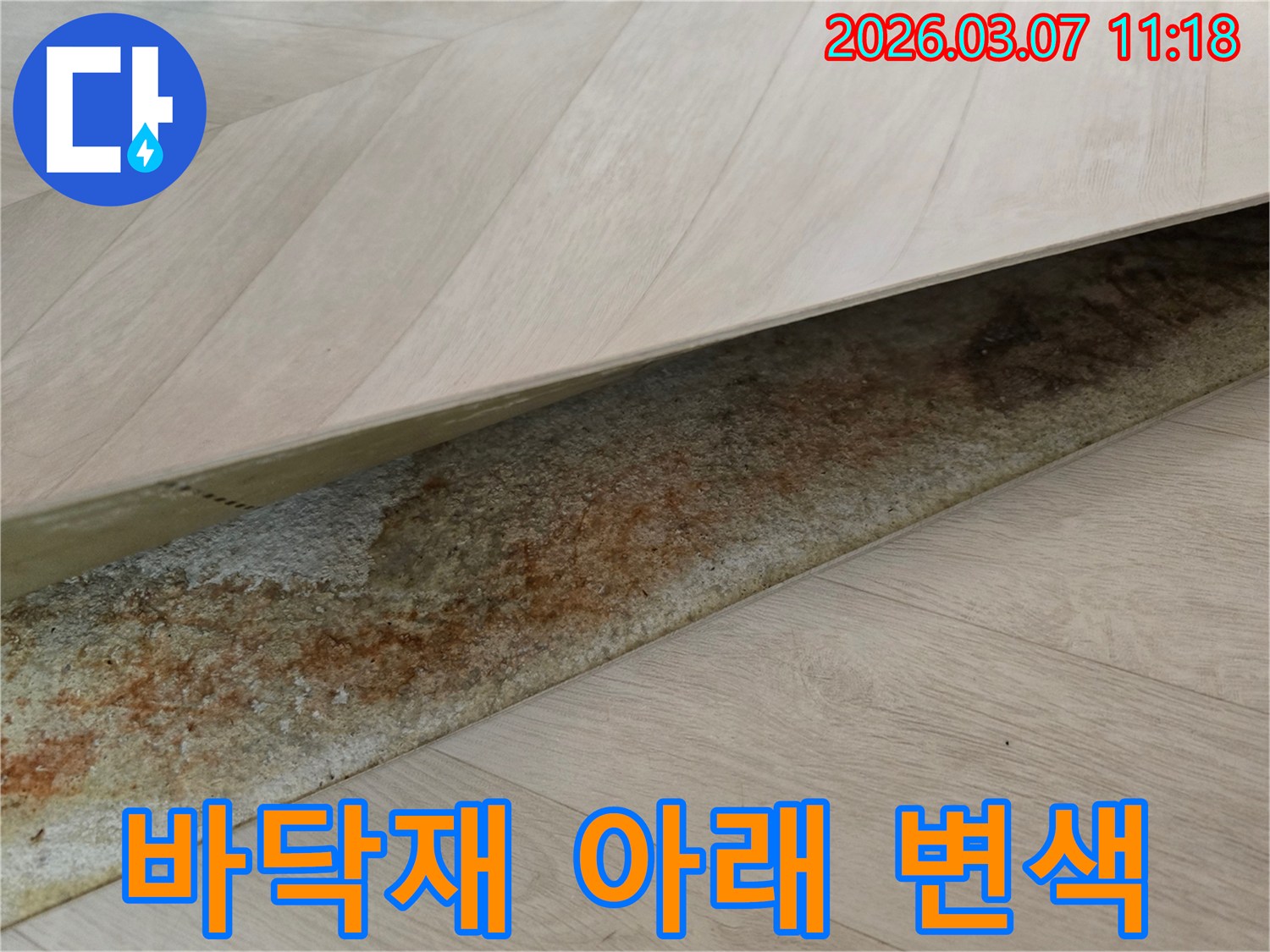 사무실 바닥재 아래에서-오랜 누수로 인해 발생한-선명한 변색과 물자국이 드러난 모습