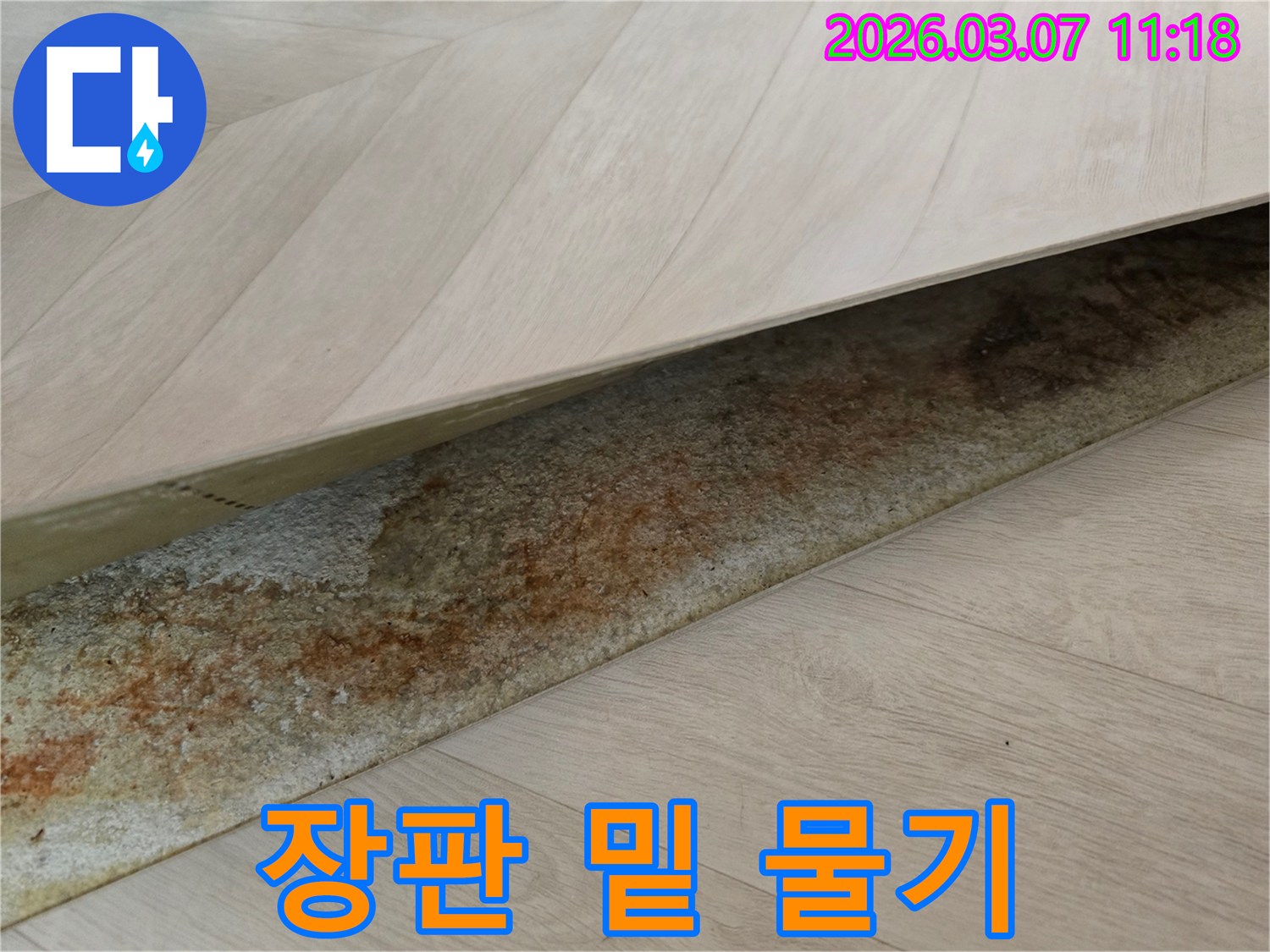 사무실 장판 아래에서-오랜 누수로 인해 발생한-선명한 물기와 변색이 드러난 모습