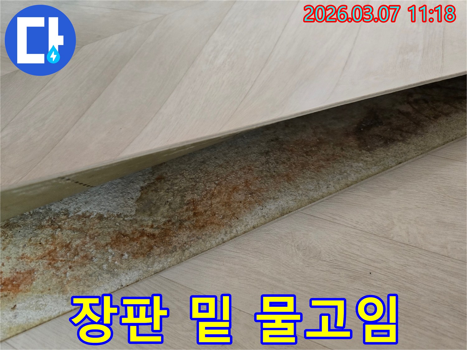 상가 장판 아래에서-오랜 누수로 인해 생긴-물고임과 변색이 선명하게 보이는 이미지