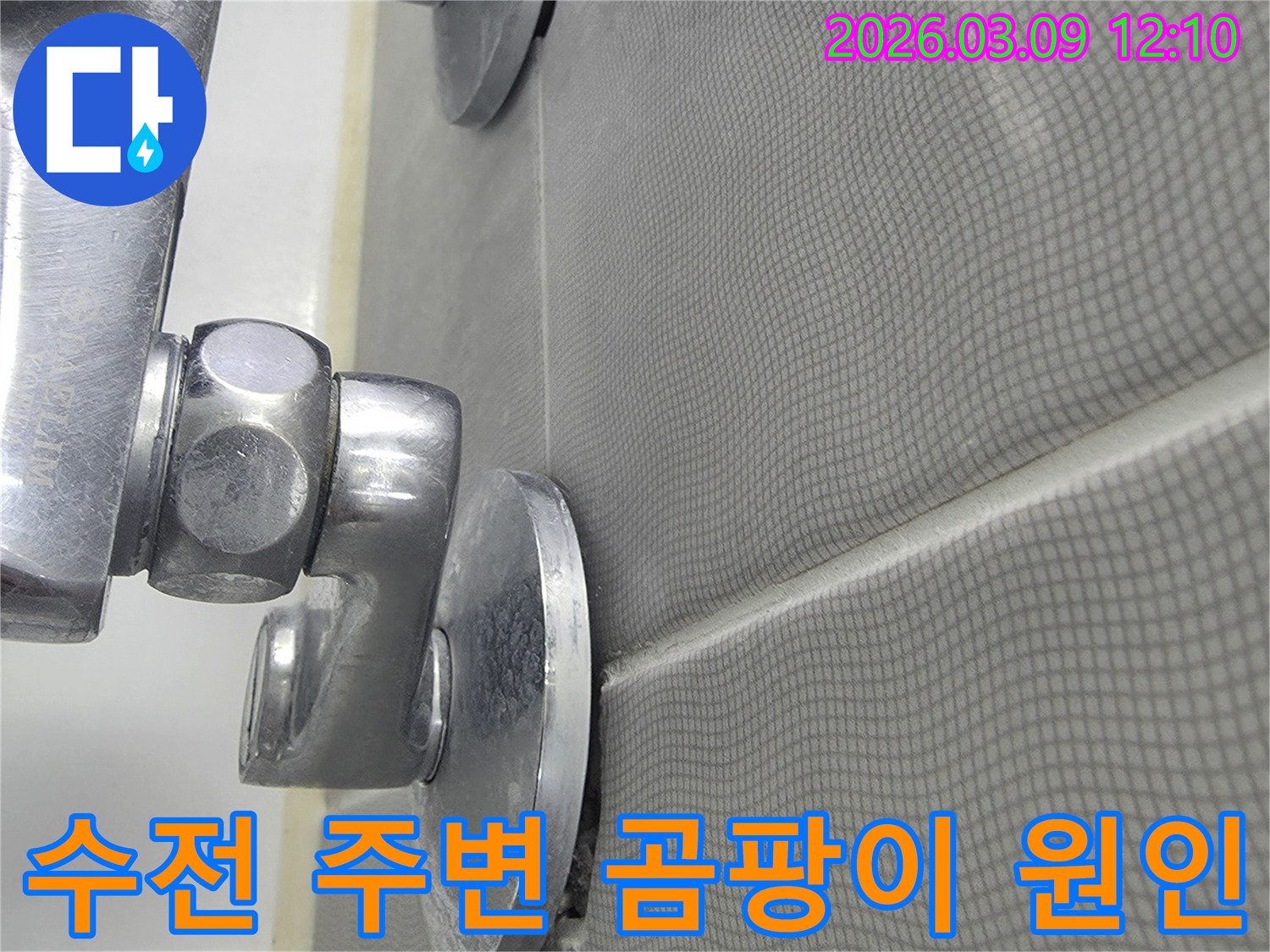 욕실 샤워기 수전 주변의-곰팡이 발생 원인을-누수와 연관하여-정밀하게 분석하는 모습