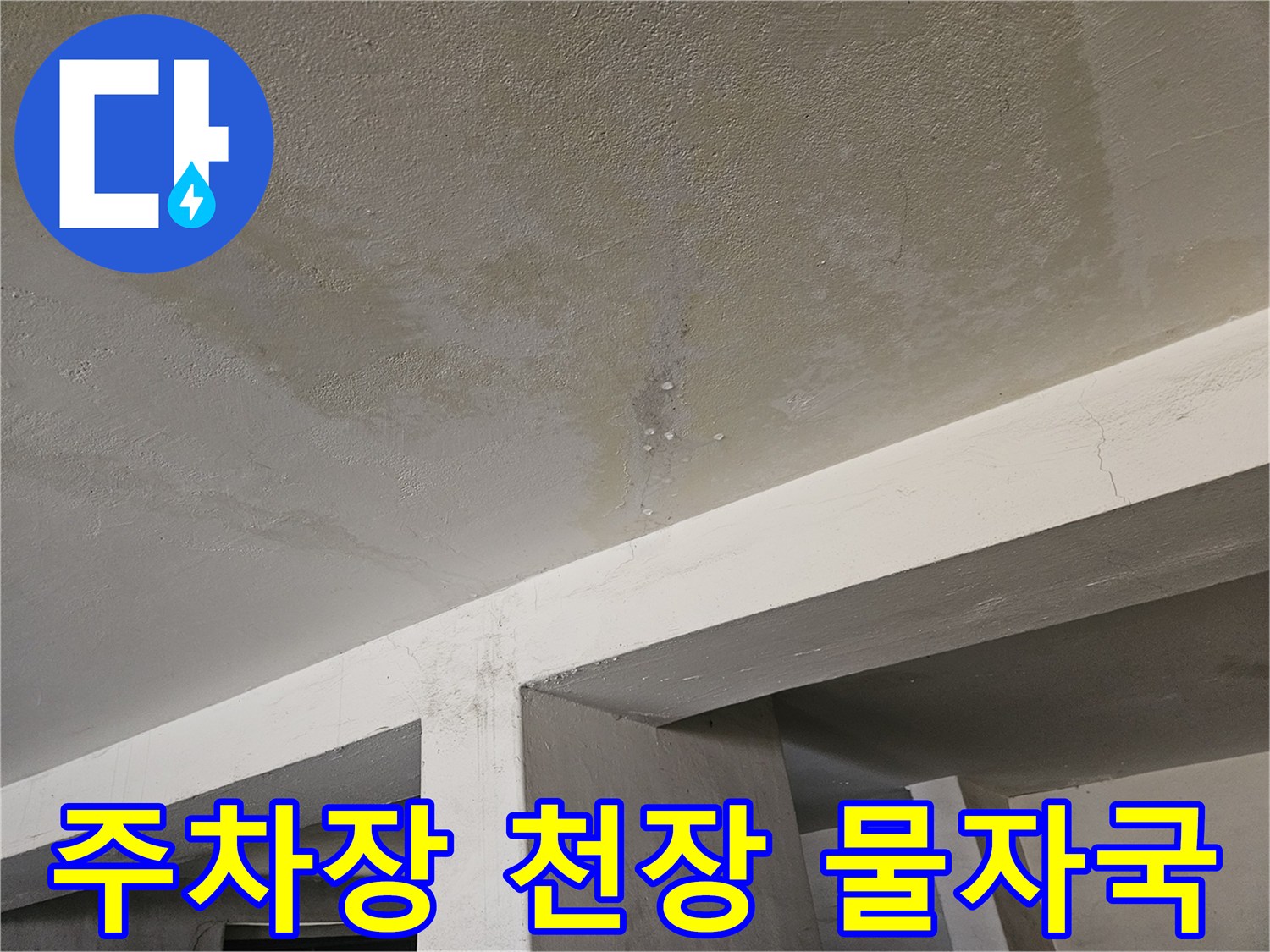 물샘 현상이 나타난 주차장 천장의 얼룩진 부분