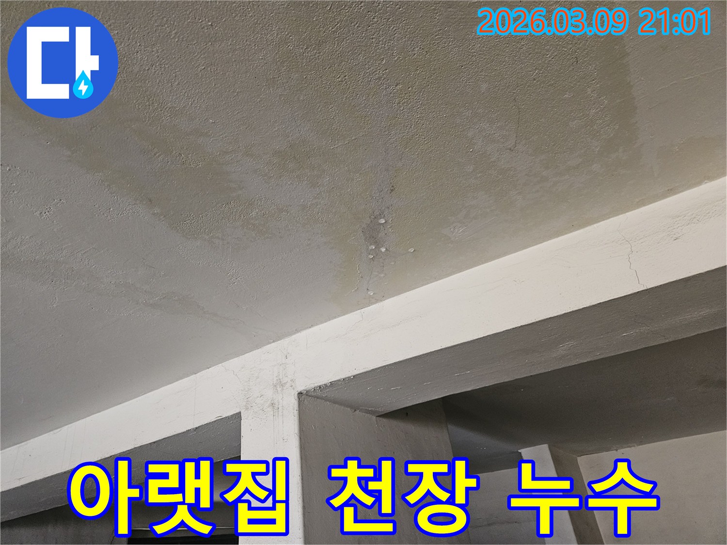 아랫집의 콘크리트 천장에서-물이 새어-얼룩지고-물방울이 맺힌-누수 현장-사진입니다.