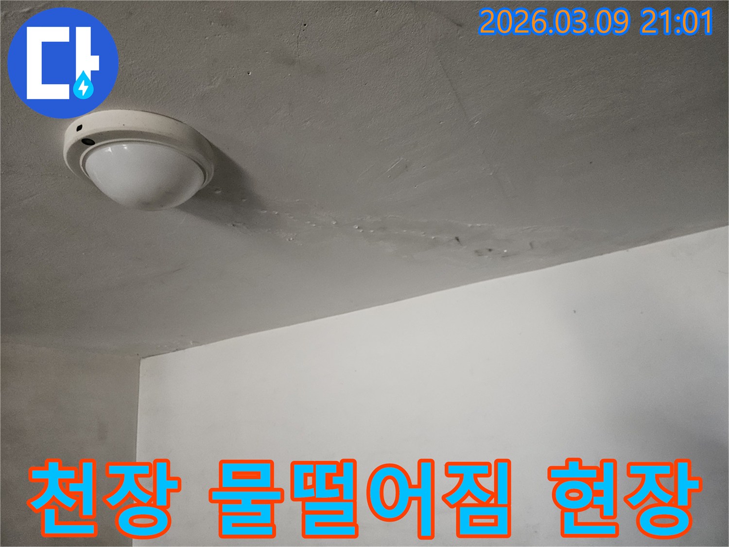 천장-조명-주변에서-물이-떨어지는-모습과-젖은-자국이-보이는-심각한-누수-현장입니다