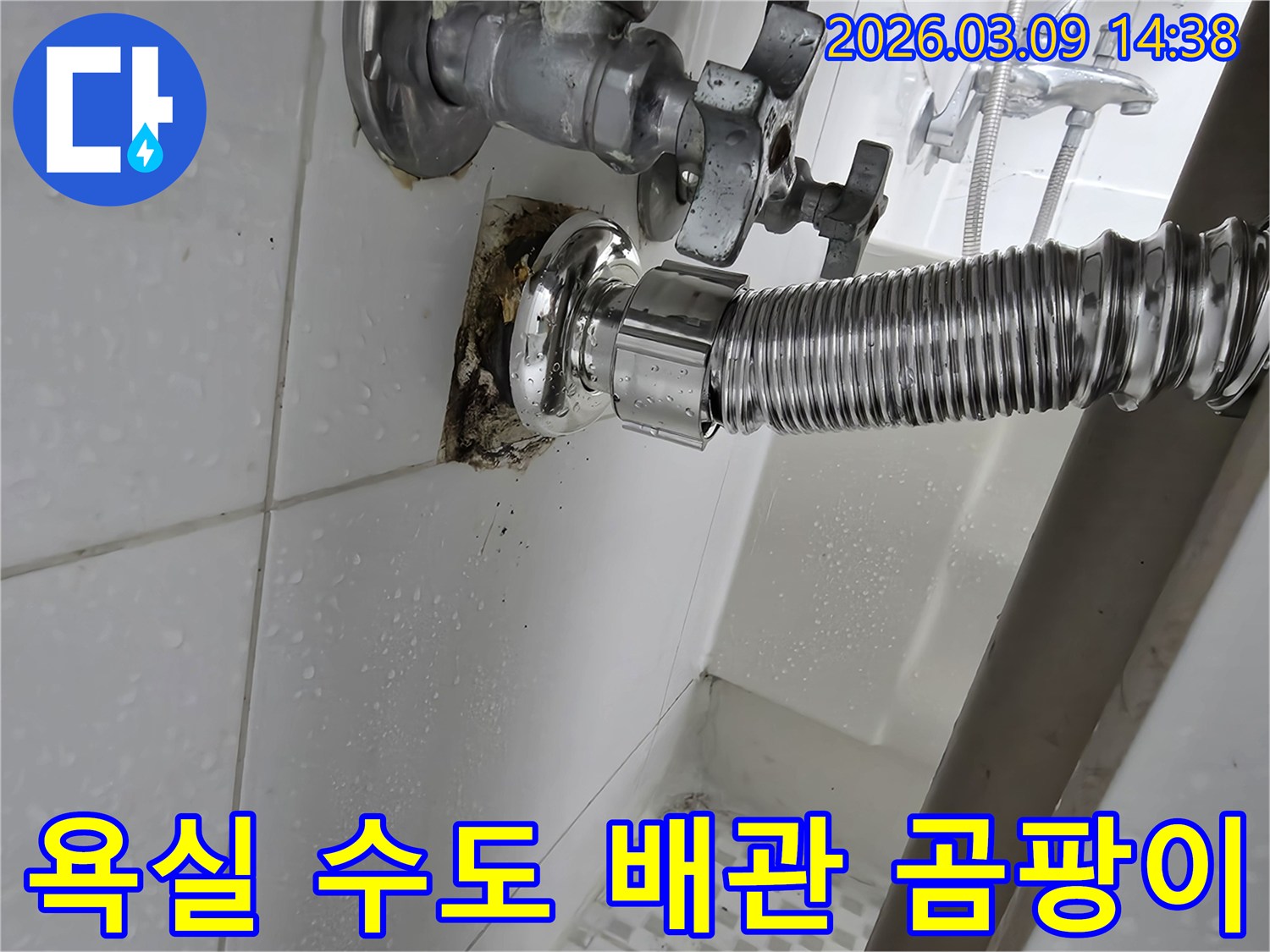 욕실-벽면의-수도-배관-주변에-누수로-인해-검은-곰팡이가-심하게-번식한-모습입니다