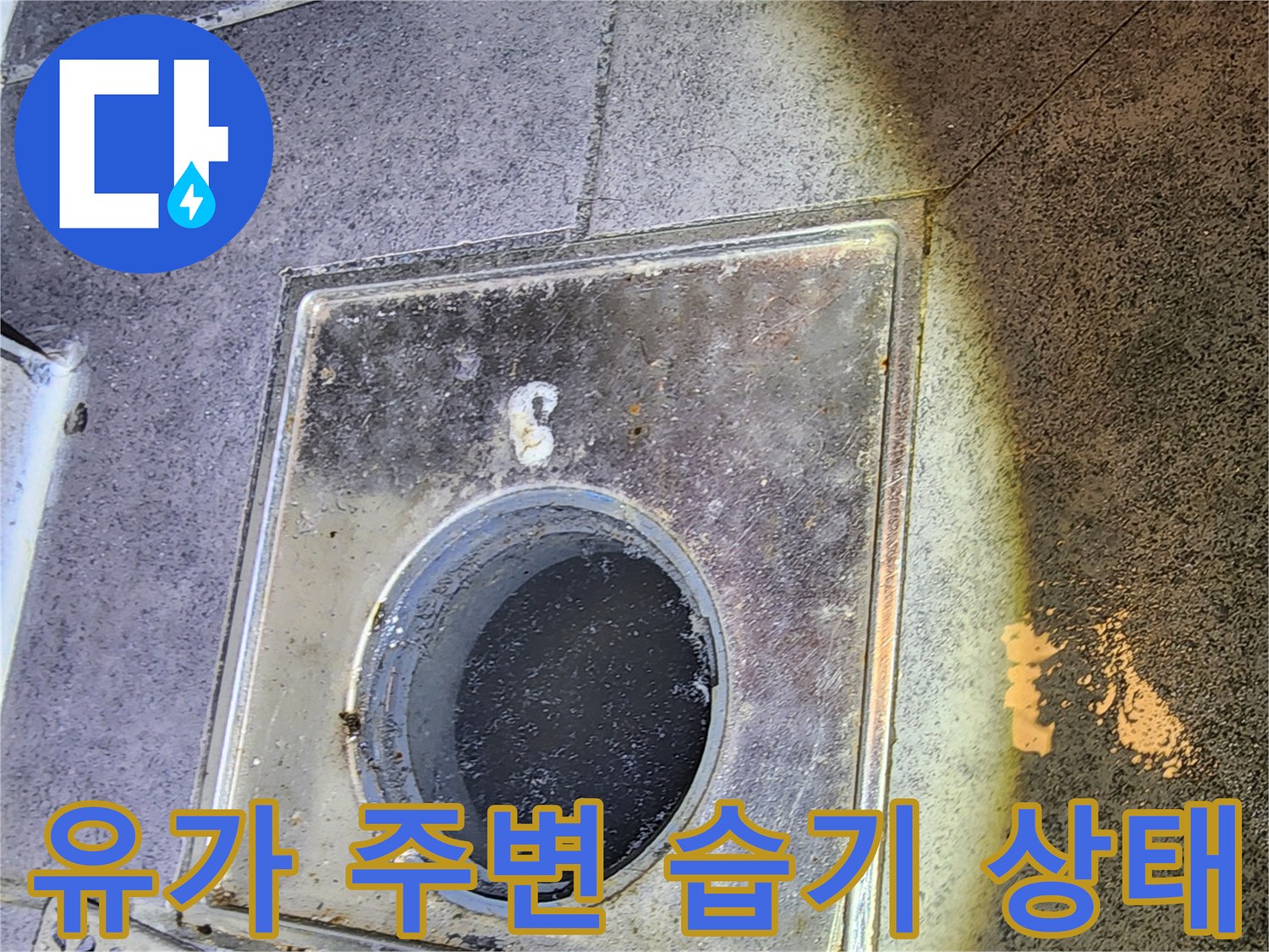 배수구 유가-주변 타일 사이의 오염과 습기를 나타내는 사진입니다.