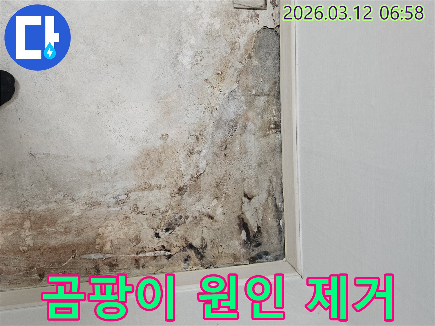 마포구-누수-현장-바닥-곰팡이-발생-원인-제거-작업-준비