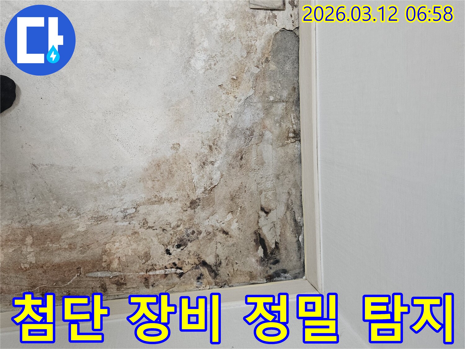 마포구-마포대로-누수-현장-첨단-장비-활용-정밀-탐지-과정-진행-중