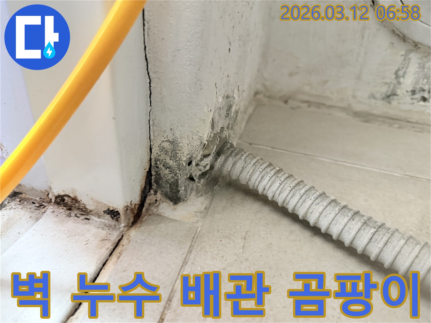 마포구-상수동-아파트-벽면-배관-주변의-누수-흔적과-곰팡이-발생-현장