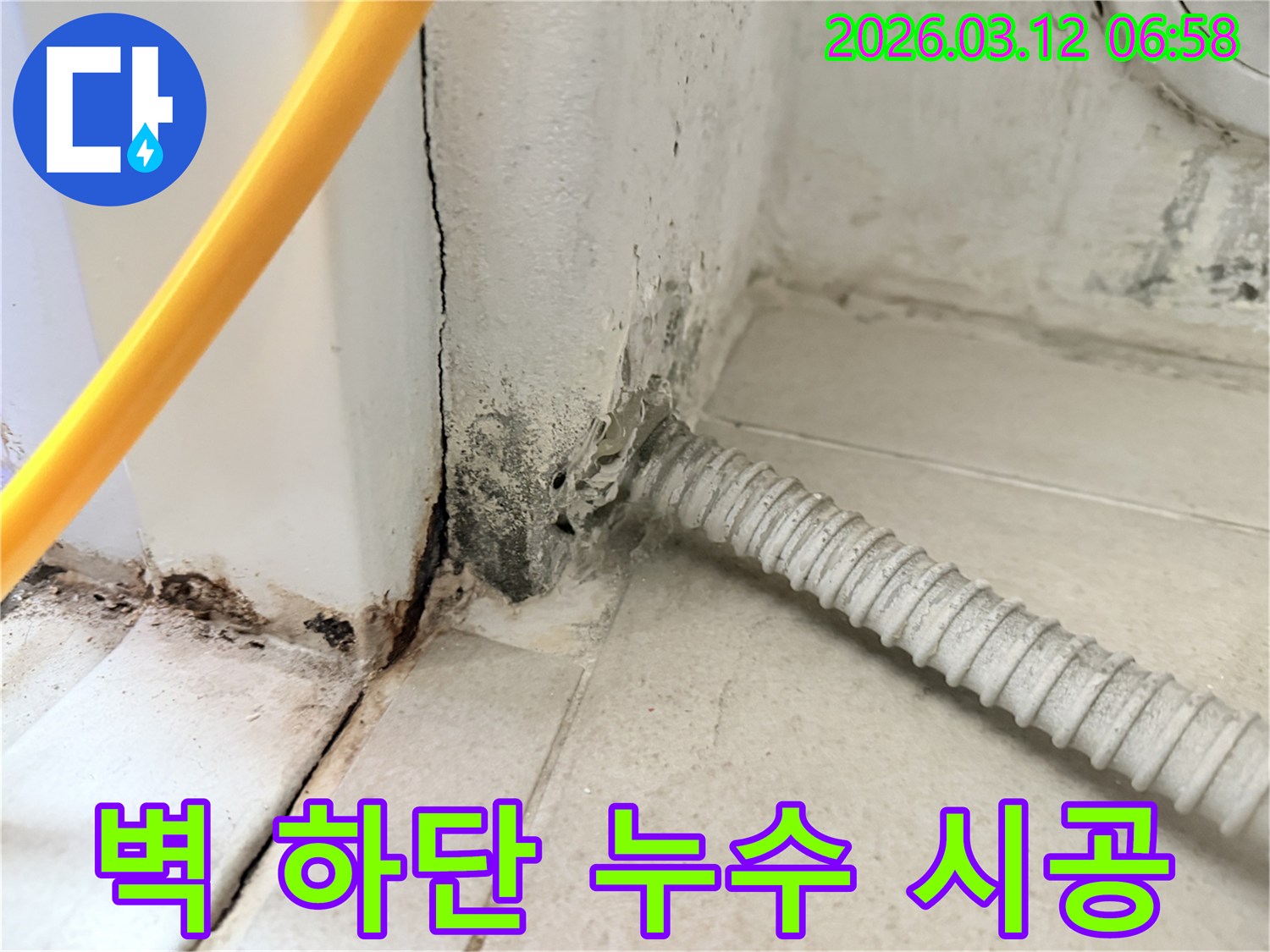 마포구-상수동-주택-벽-하단부의-심각한-누수-흔적과-곰팡이-상태-사진