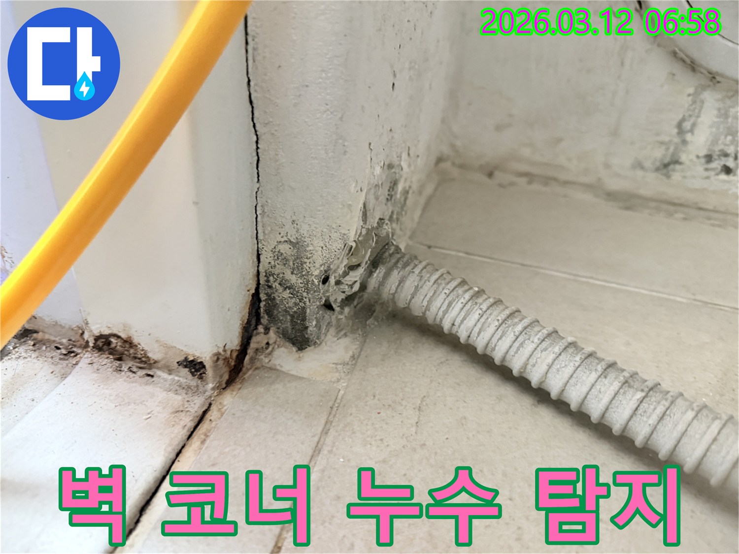 마포구-신수동-주택-벽-코너에-심하게-번진-누수-곰팡이-현장-사진