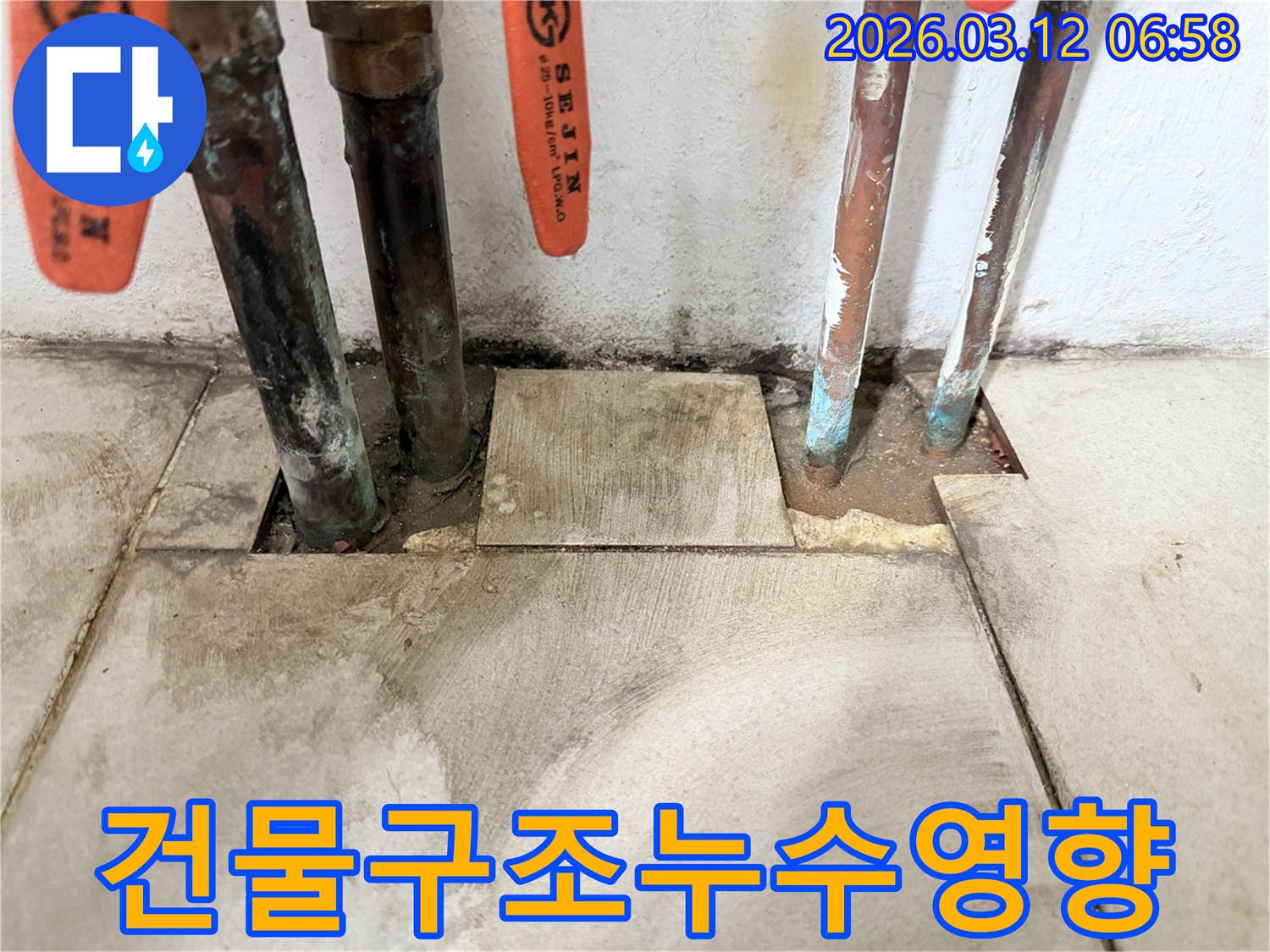 마포구-현장에서-오래된-배관의-누수가-건물-구조에-미치는-영향을-정밀하게-진단하고-있습니다