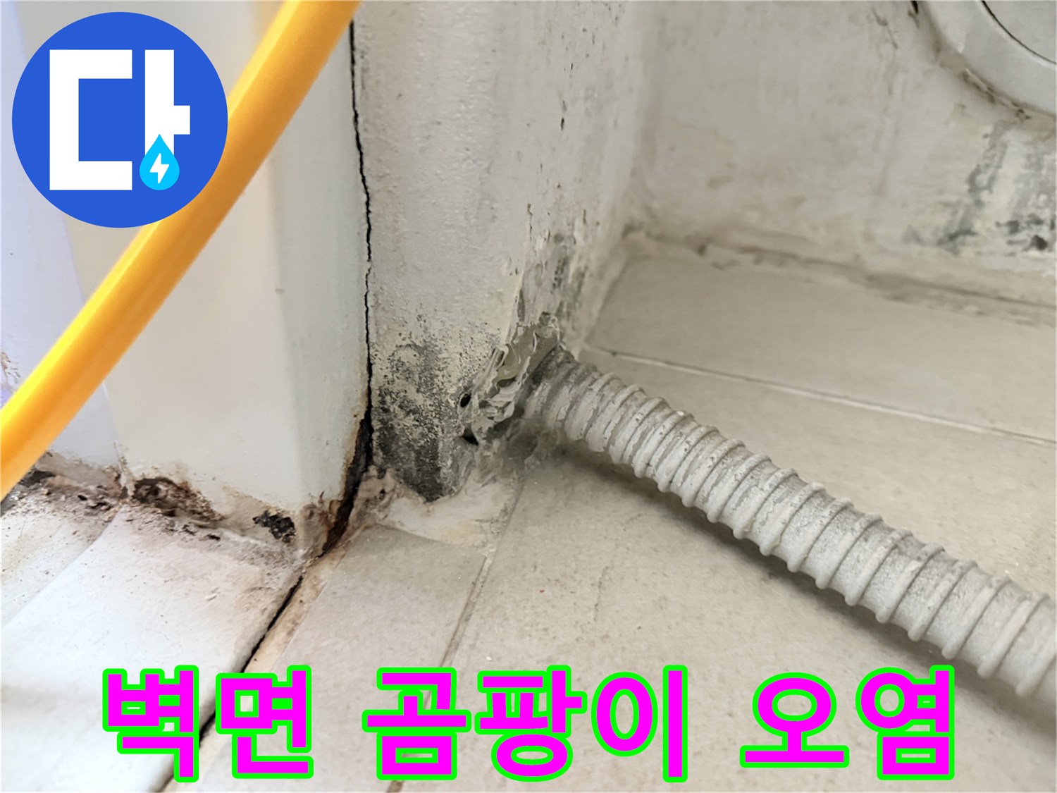 보일러실-벽체-하단-배관-주변-곰팡이-오염