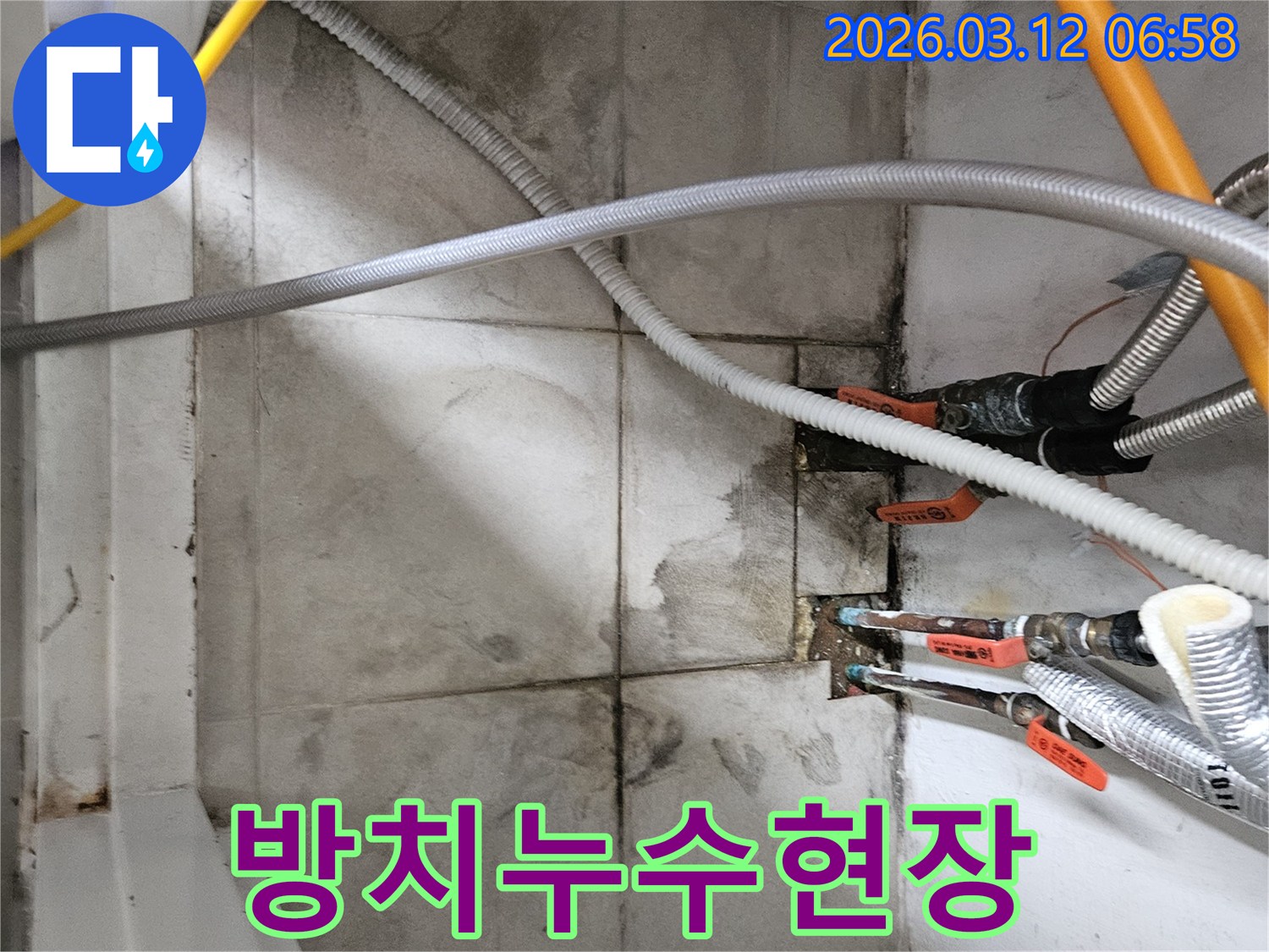 오랜-시간-방치되어-심각하게-오염된-누수-현장을-확인하며-전문적인-진단과-해결을-제시하는-모습